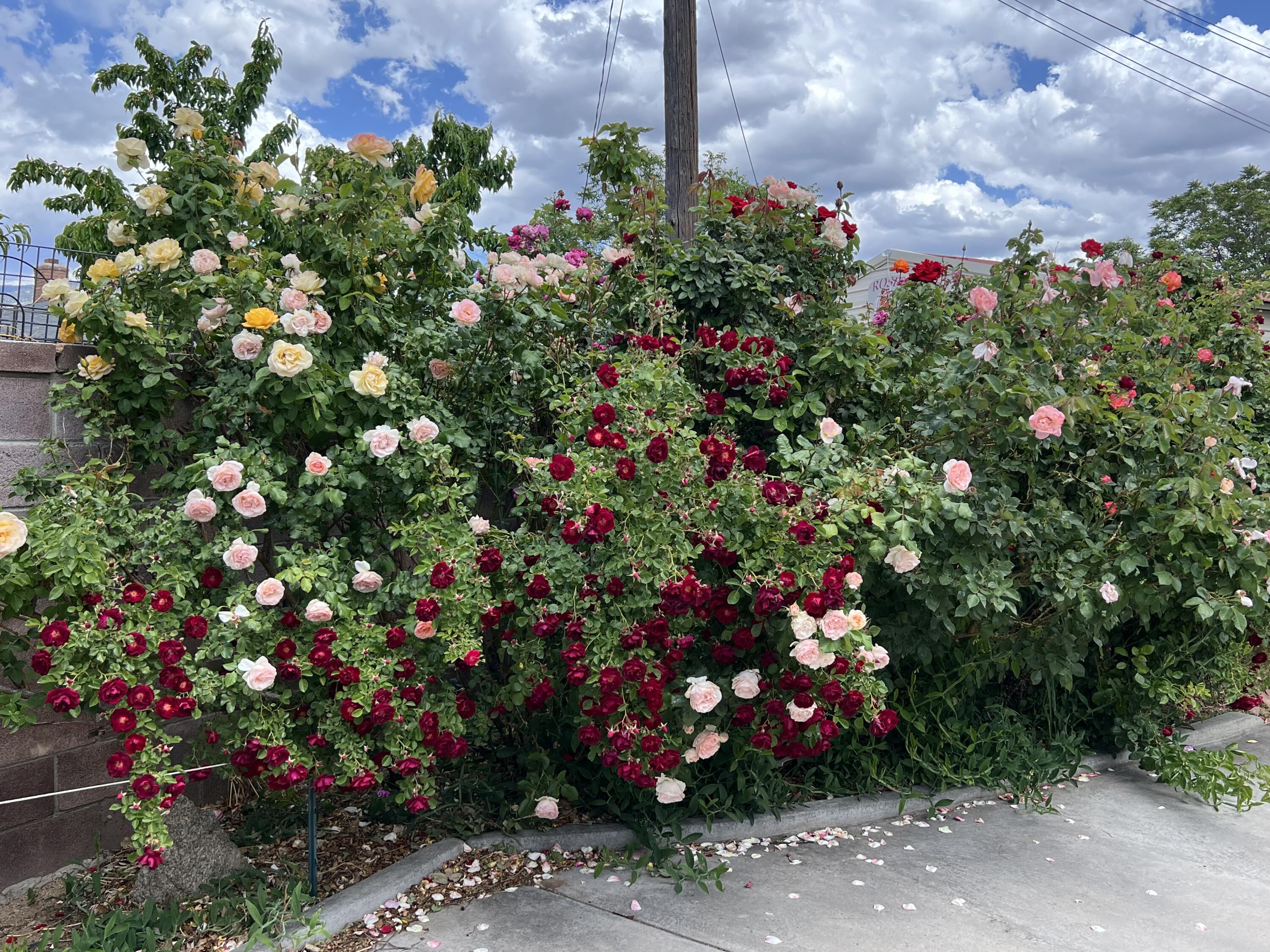 9722 APACHE Avenue NE