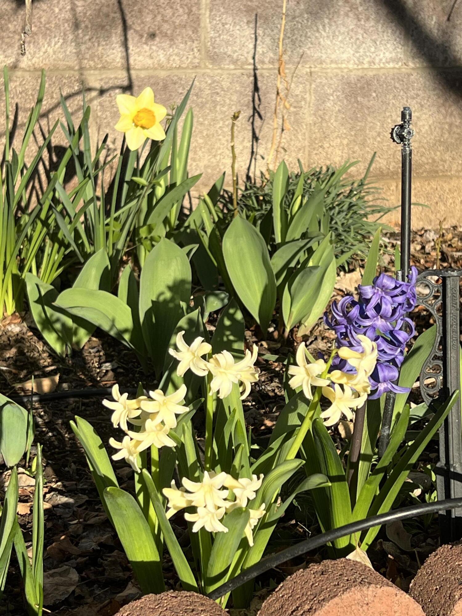 9722 APACHE Avenue NE