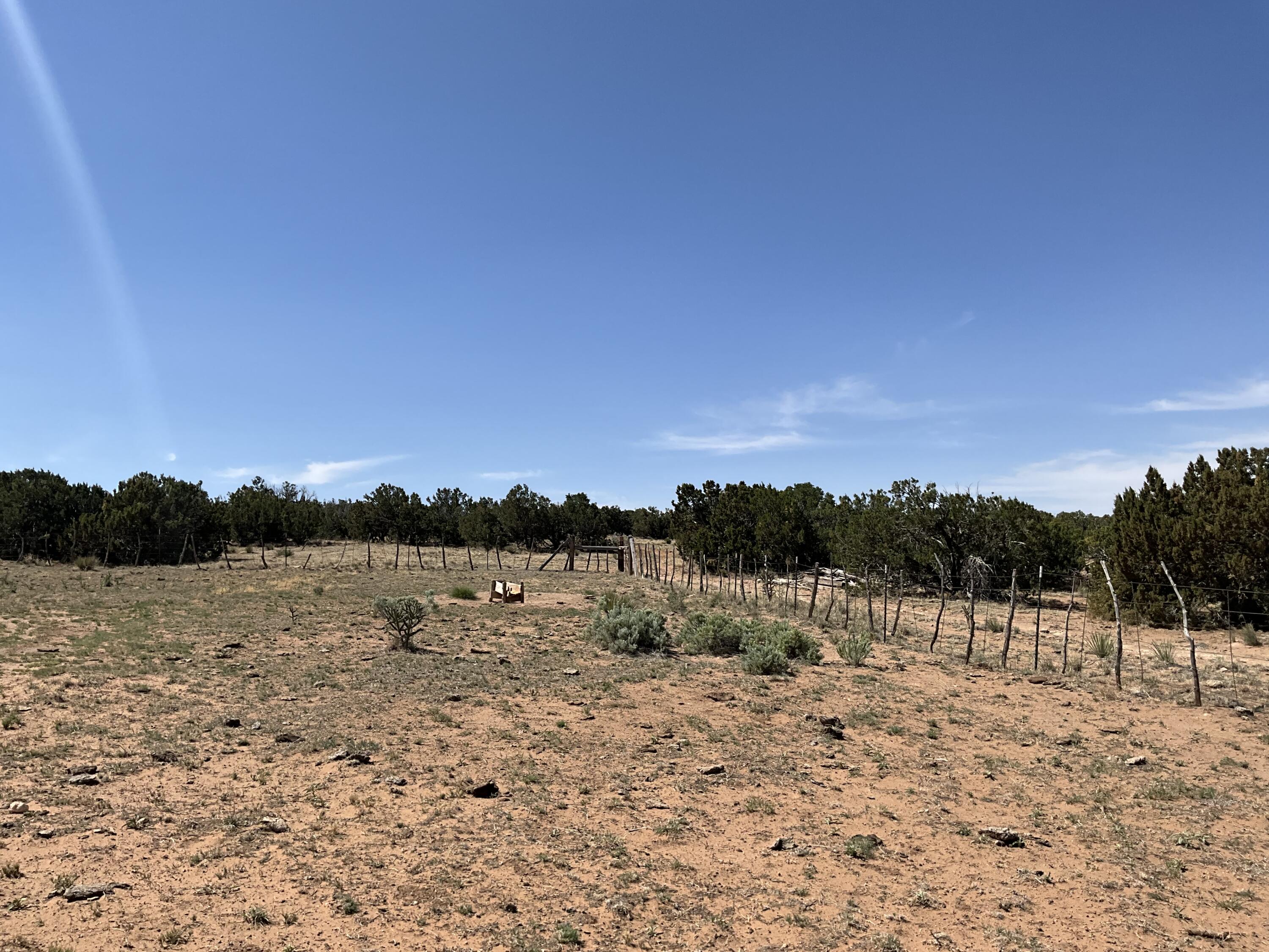 S: 10 T: 2N R: 6E N2NE4 (80AC