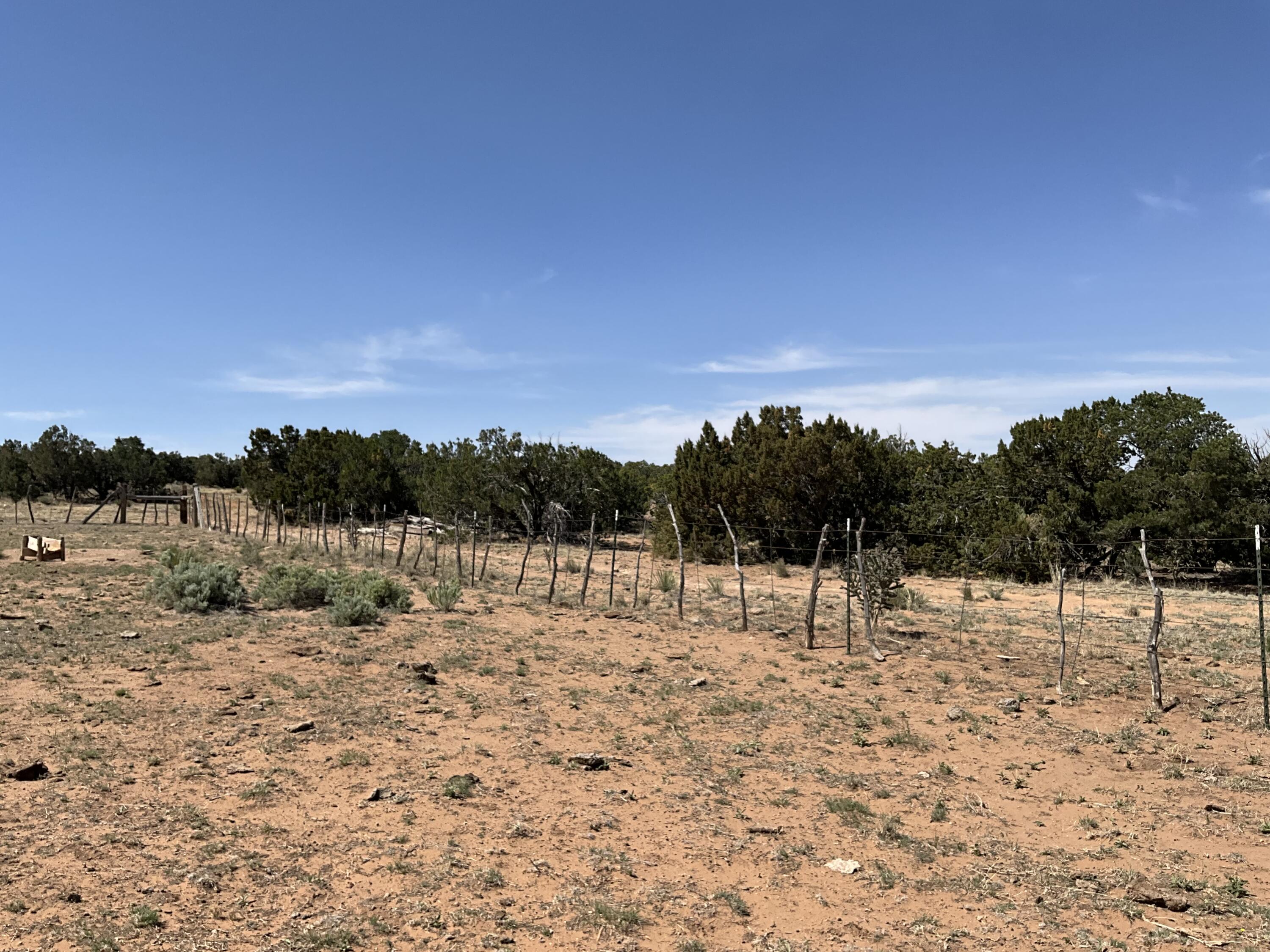 S: 10 T: 2N R: 6E N2NE4 (80AC