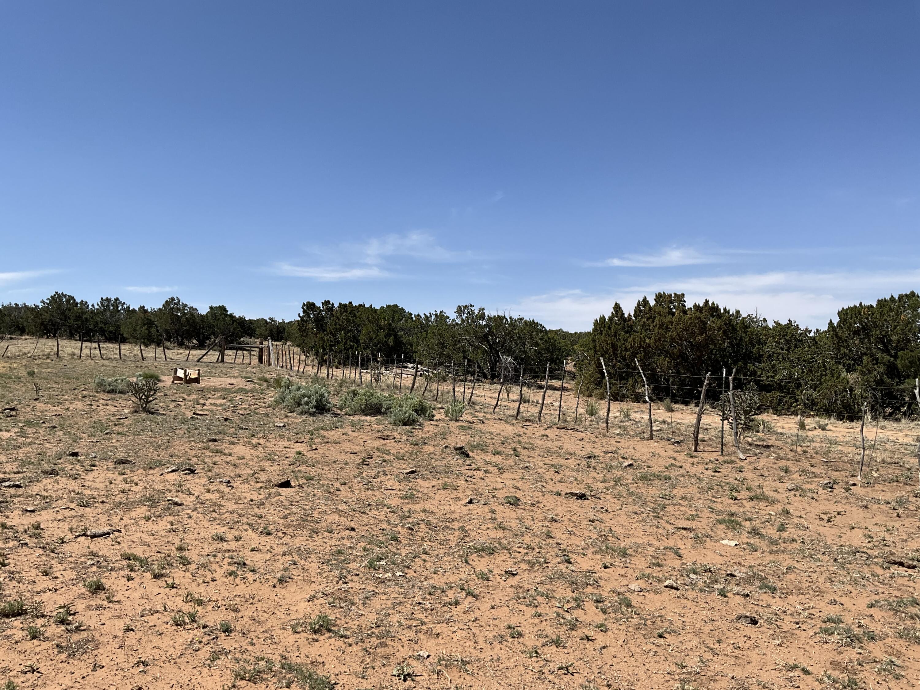 S: 10 T: 2N R: 6E N2NE4 (80AC