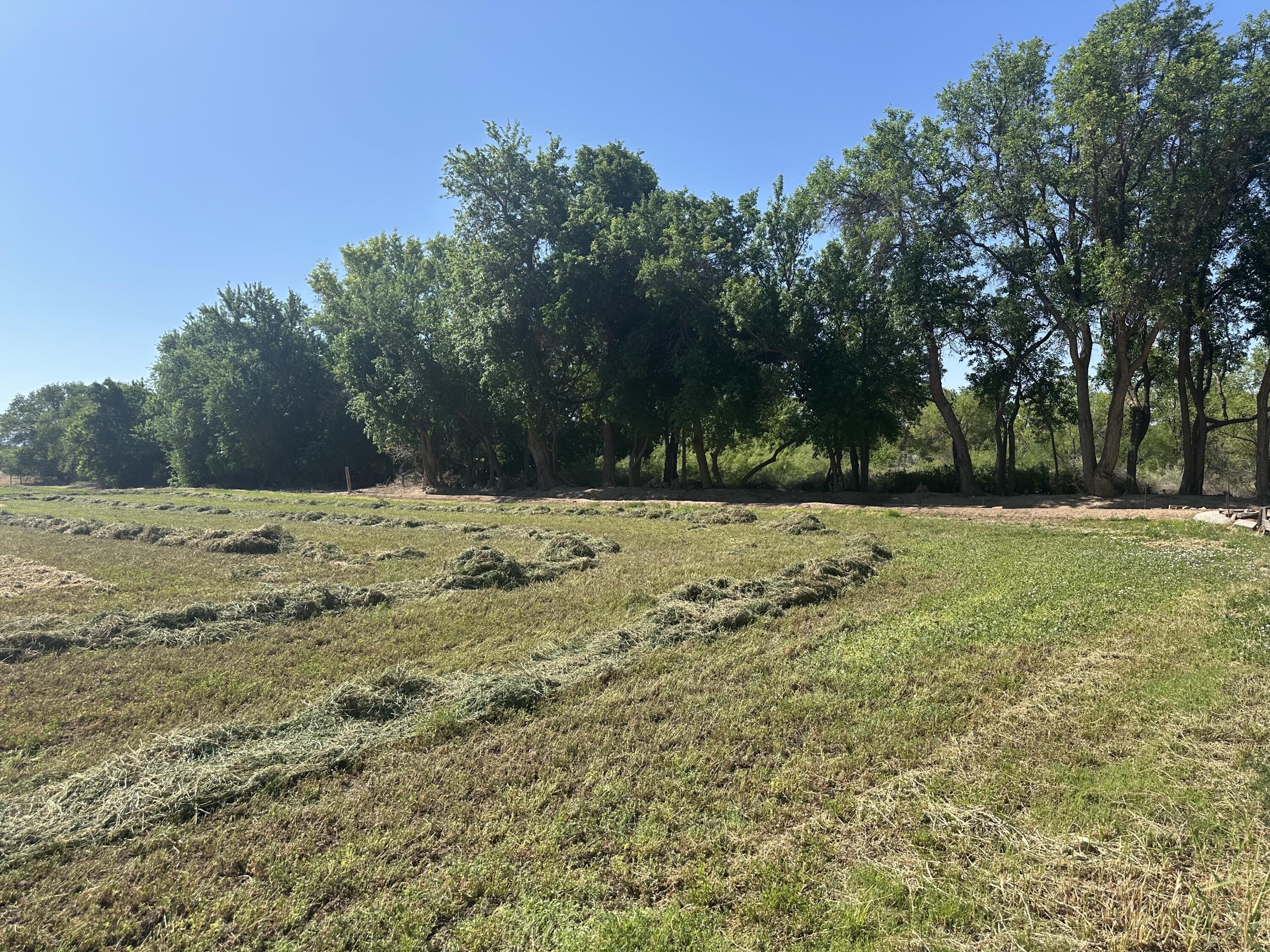 1.45 Off Highway 116