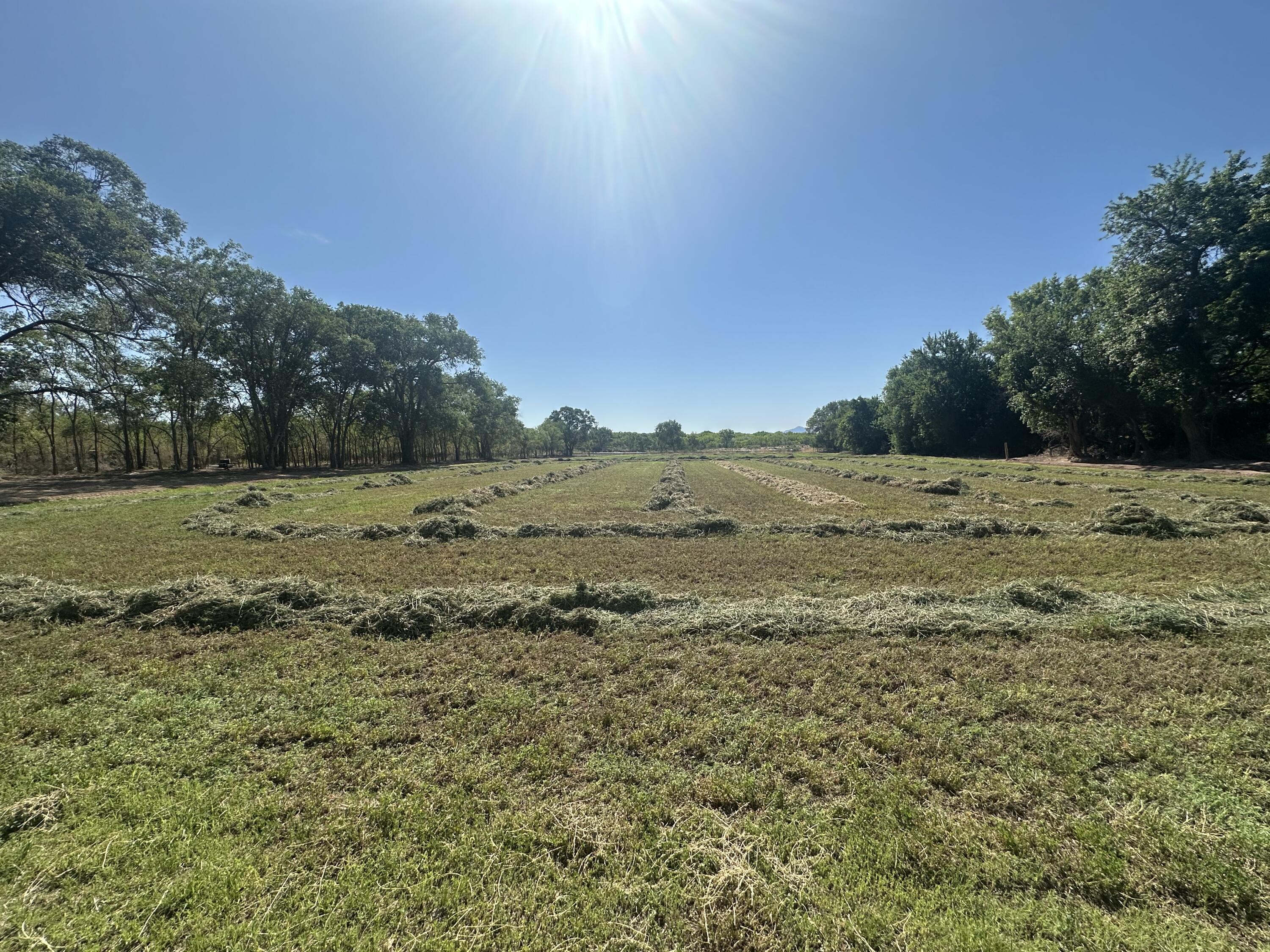 1.45 Off Highway 116