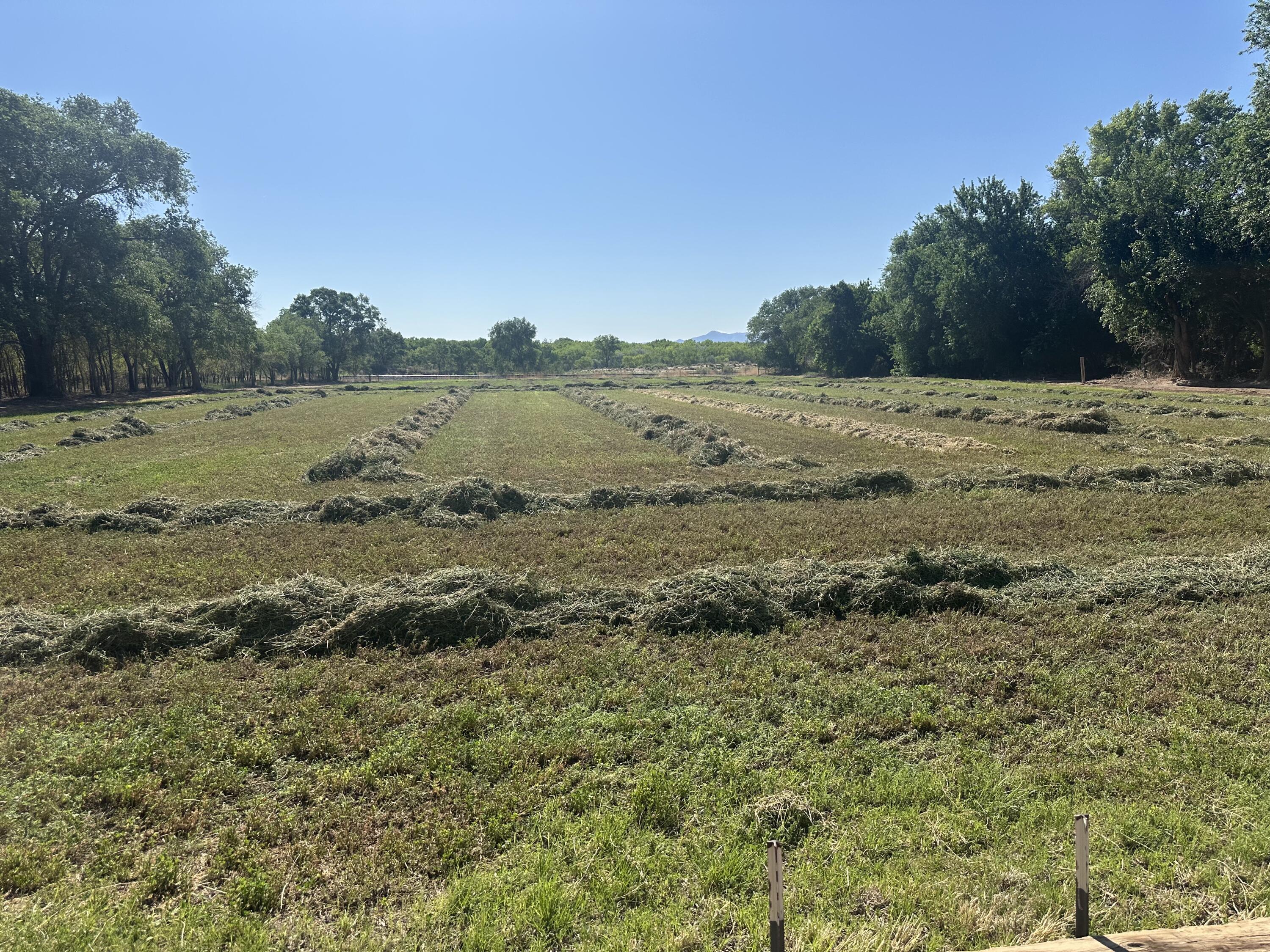 1.45 Off Highway 116