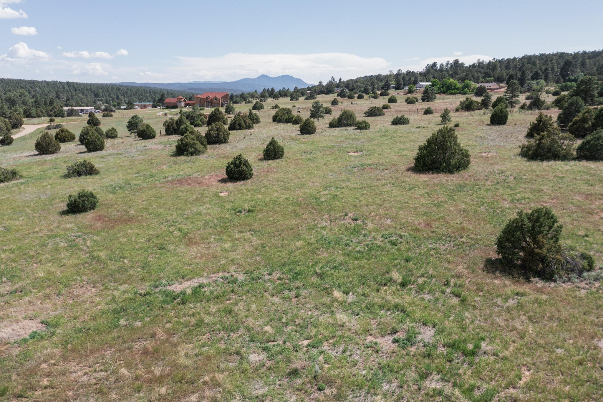 25 MOCKINGBIRD HILL Road