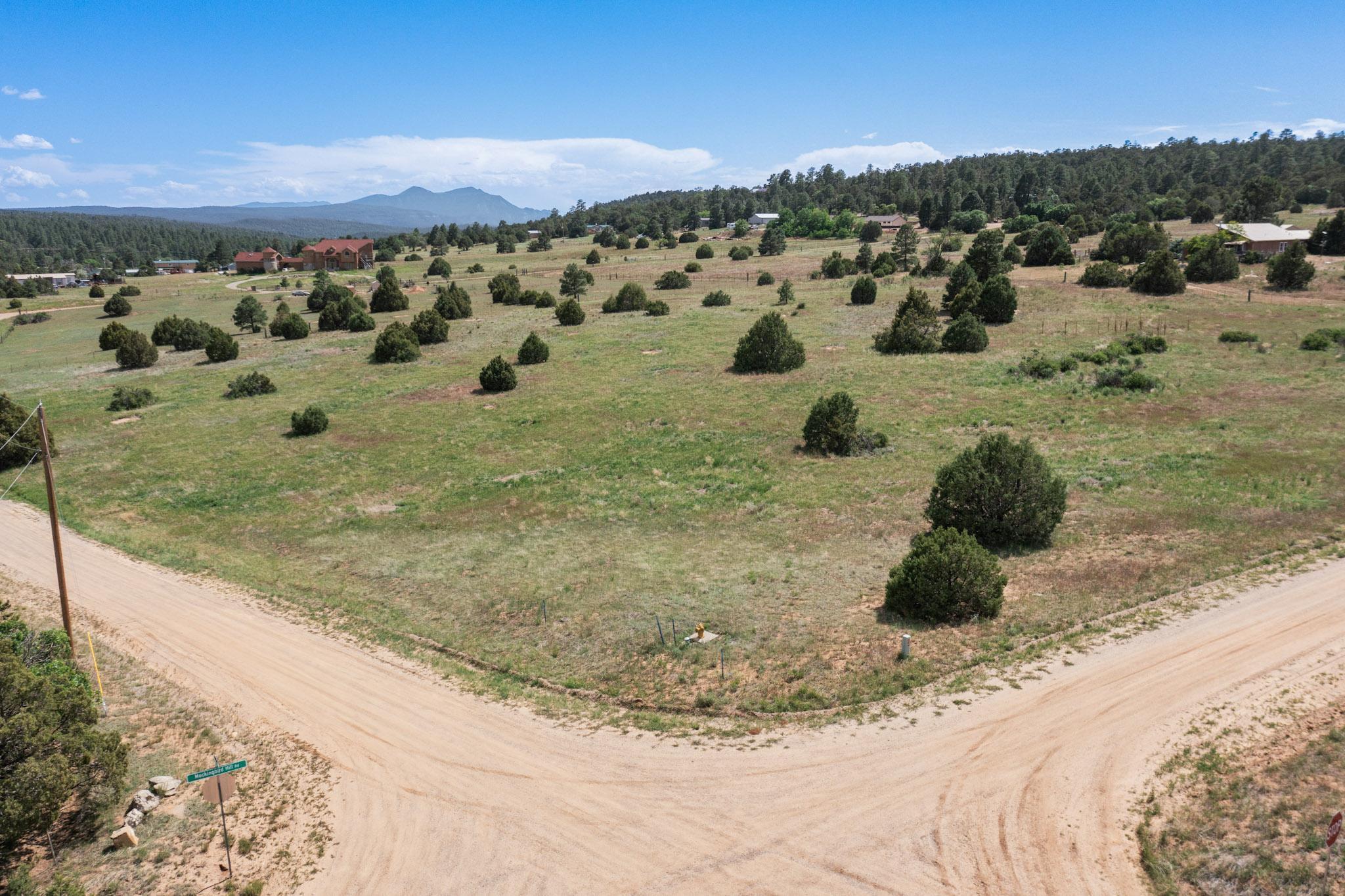 25 MOCKINGBIRD HILL Road