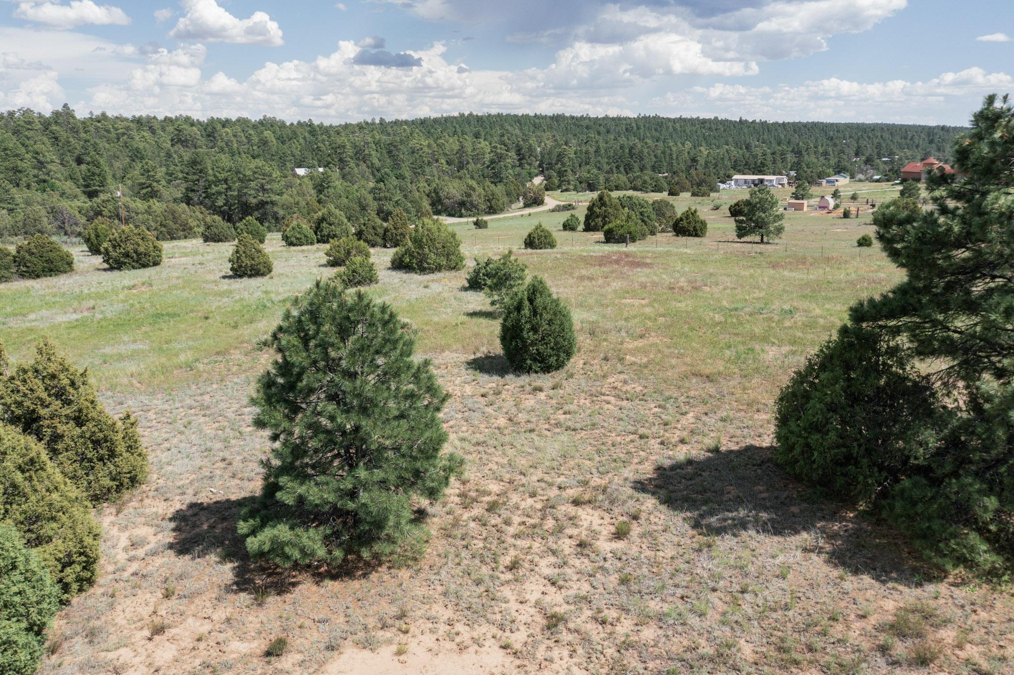 25 MOCKINGBIRD HILL Road