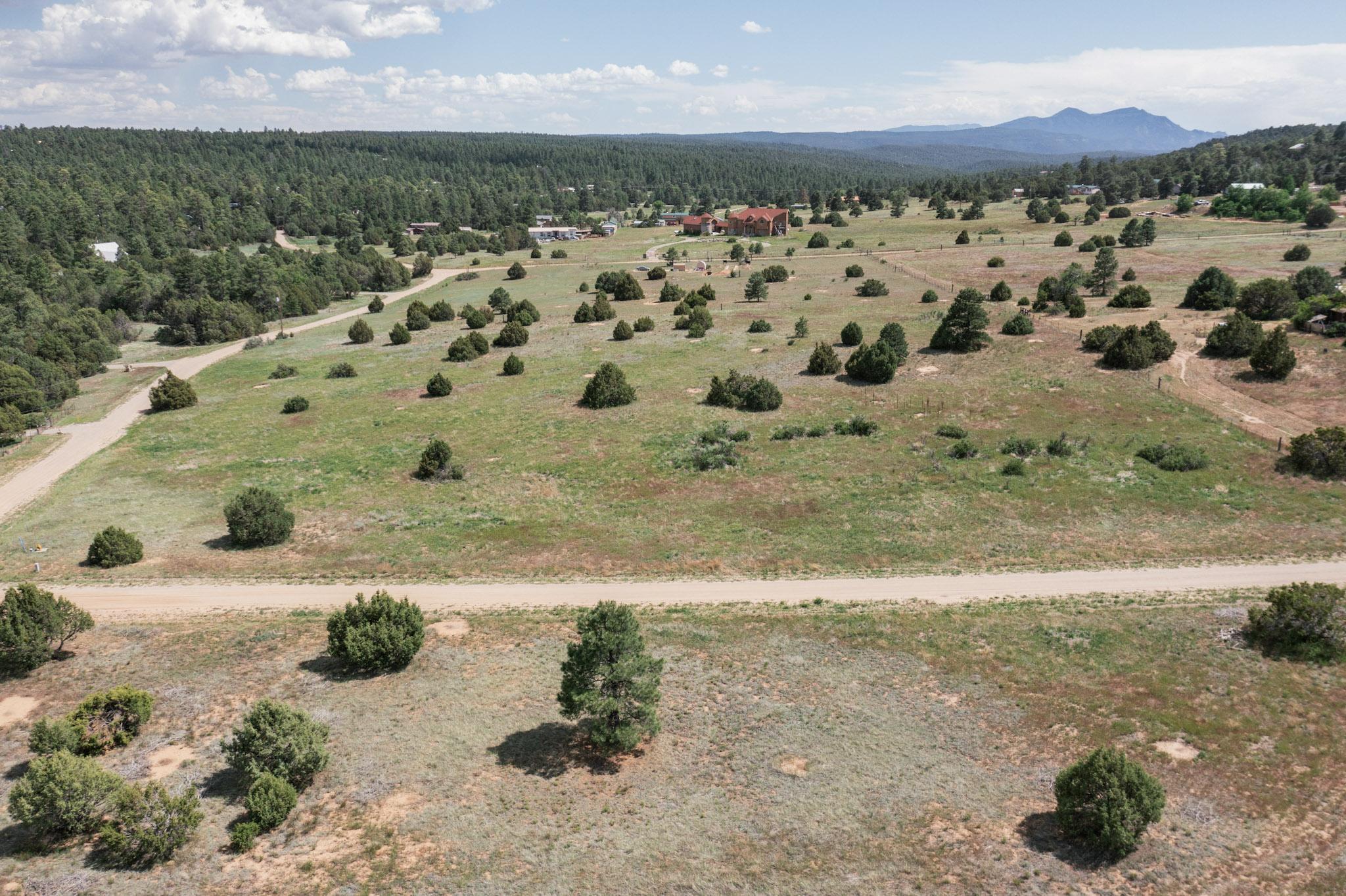 25 MOCKINGBIRD HILL Road