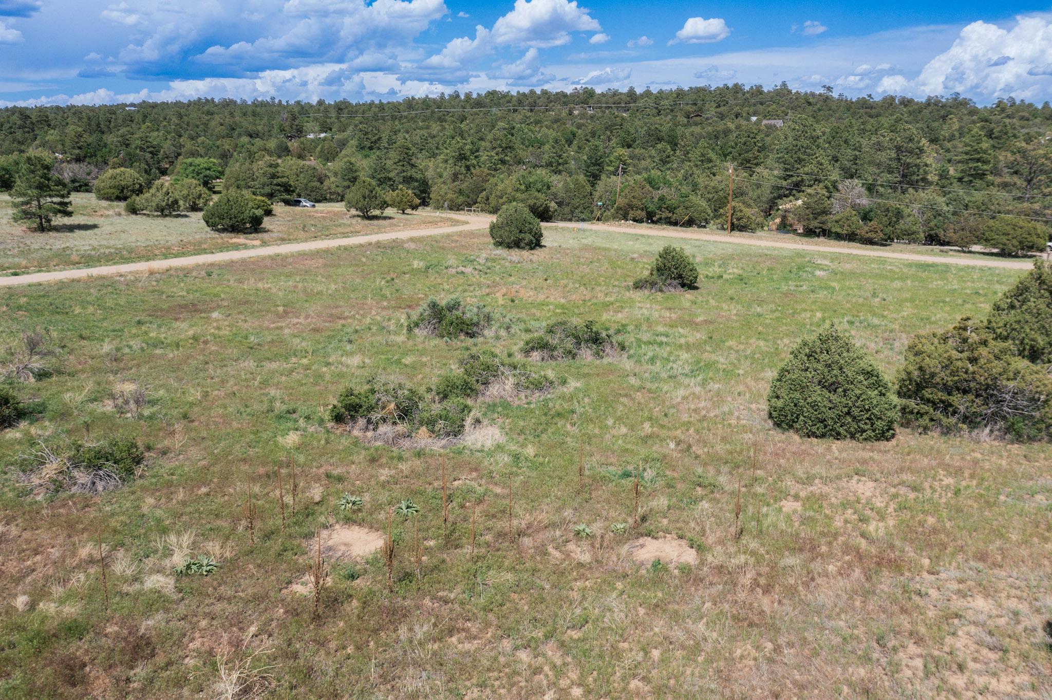 25 MOCKINGBIRD HILL Road