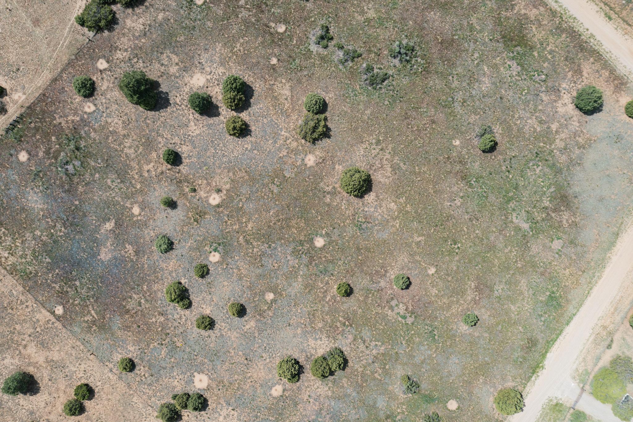 25 MOCKINGBIRD HILL Road