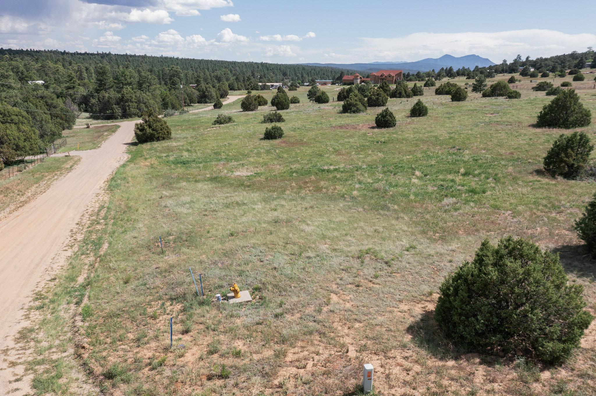 25 MOCKINGBIRD HILL Road