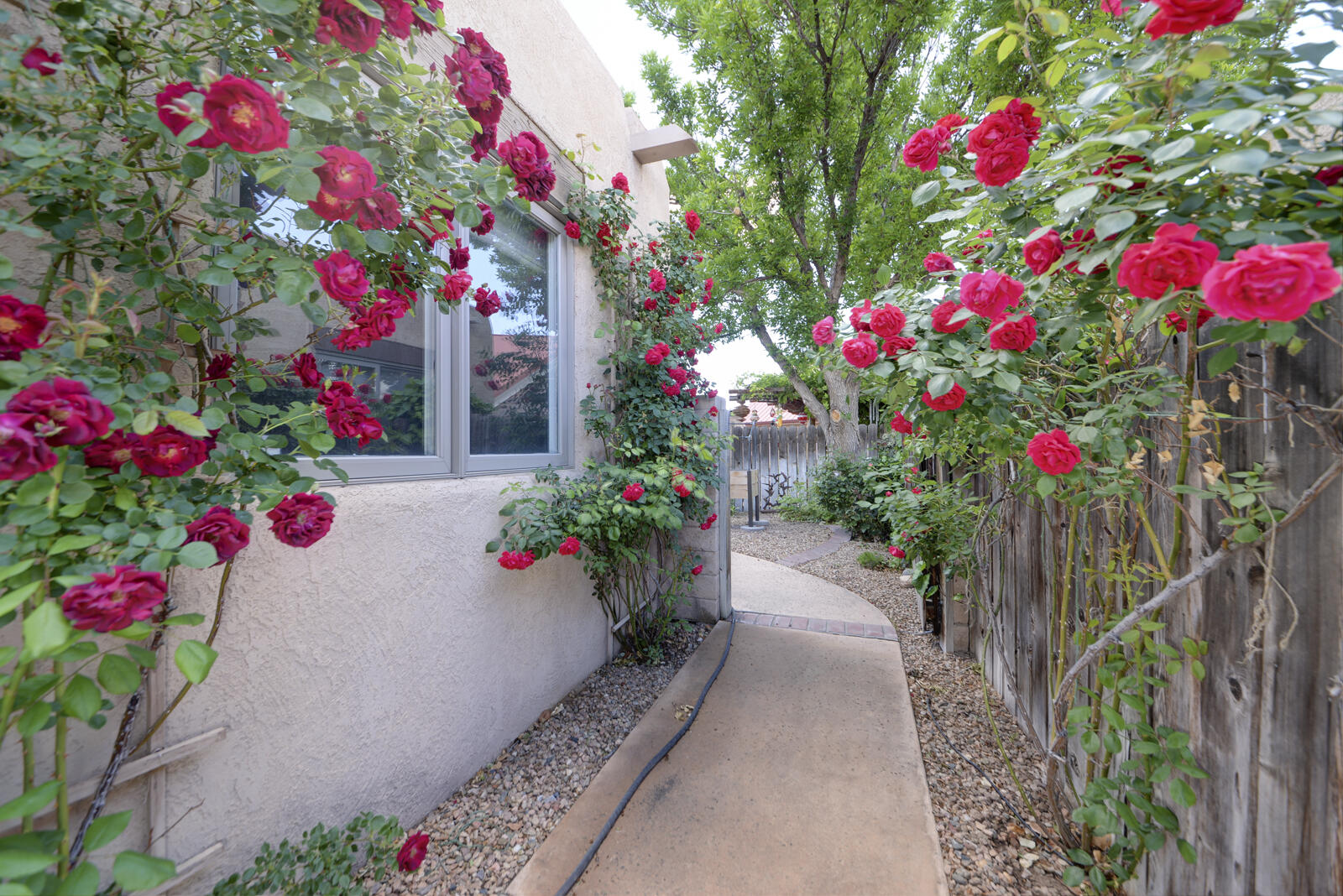 300 LA CHAMISAL Lane NW