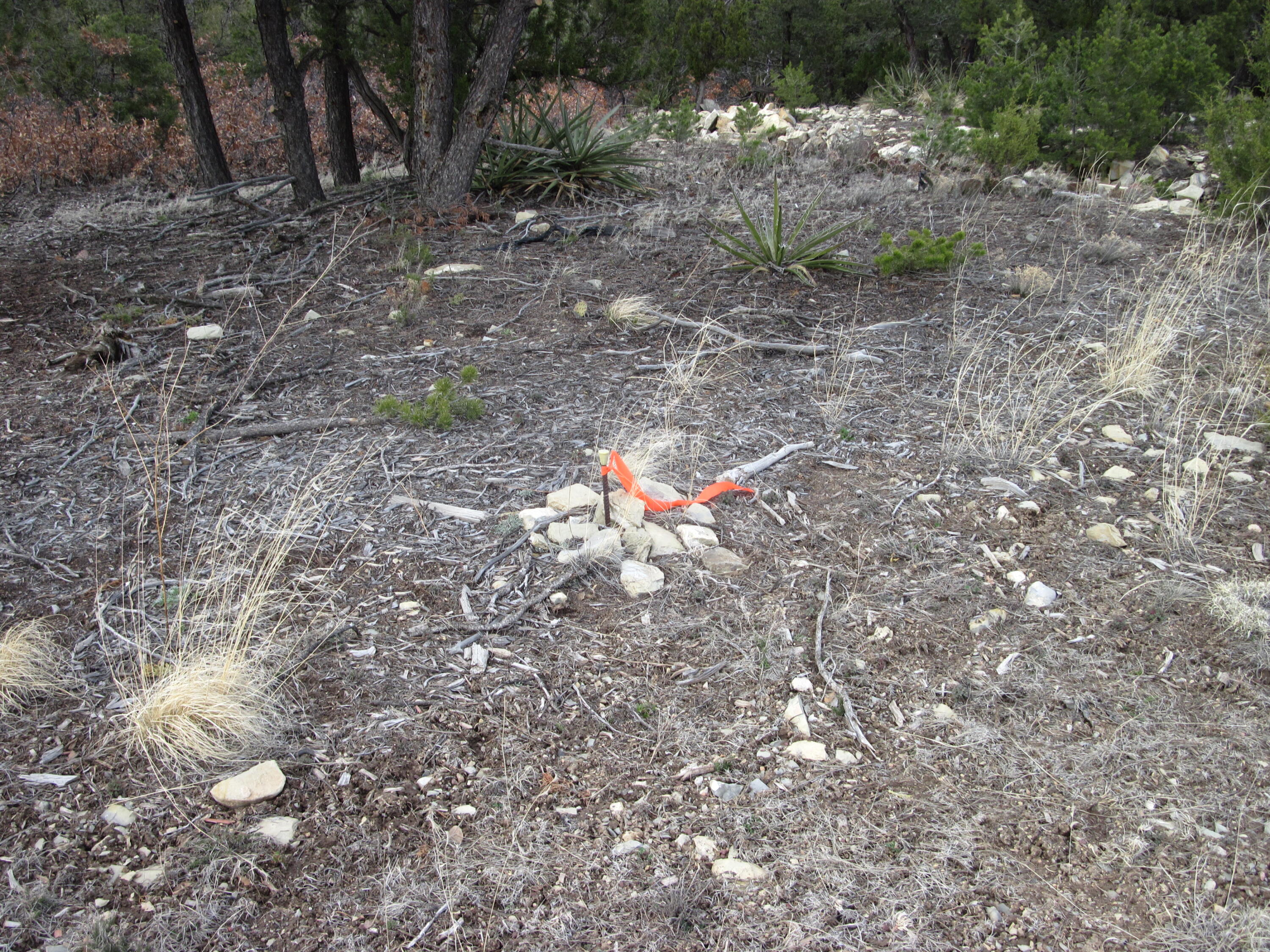 207 VIA SEDILLO Road