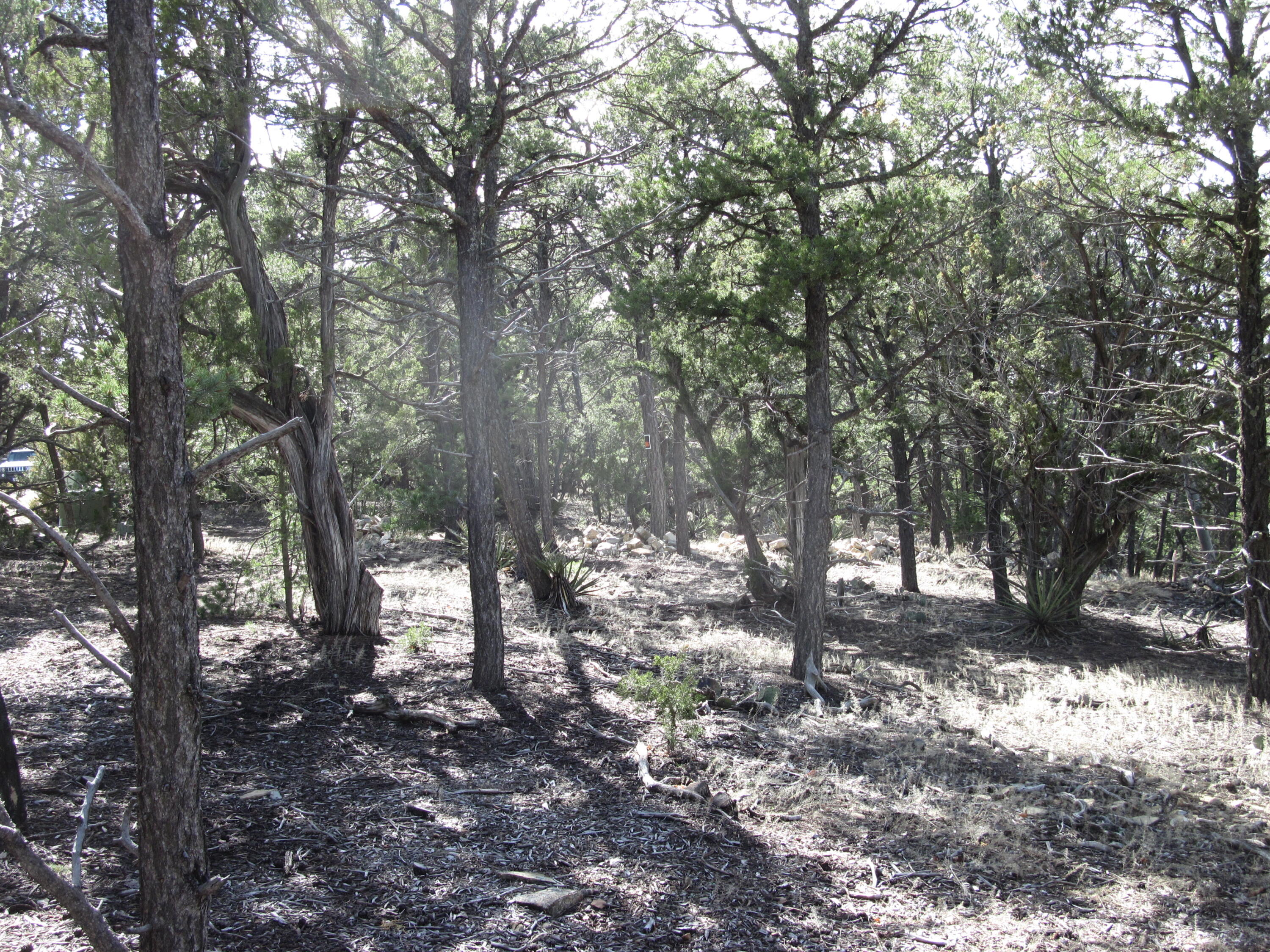 207 VIA SEDILLO Road