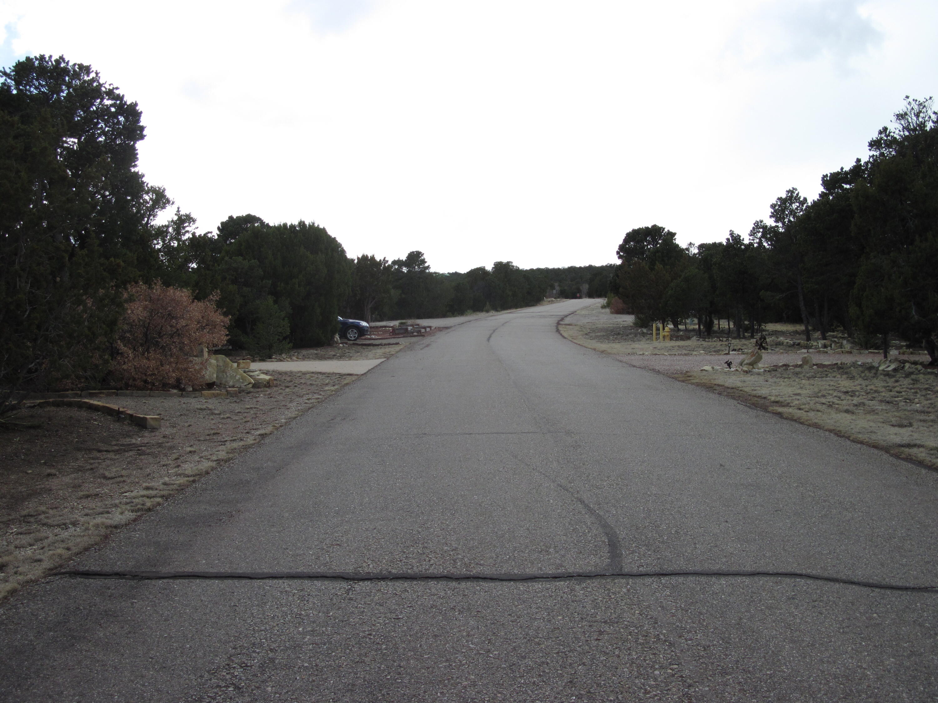 207 VIA SEDILLO Road