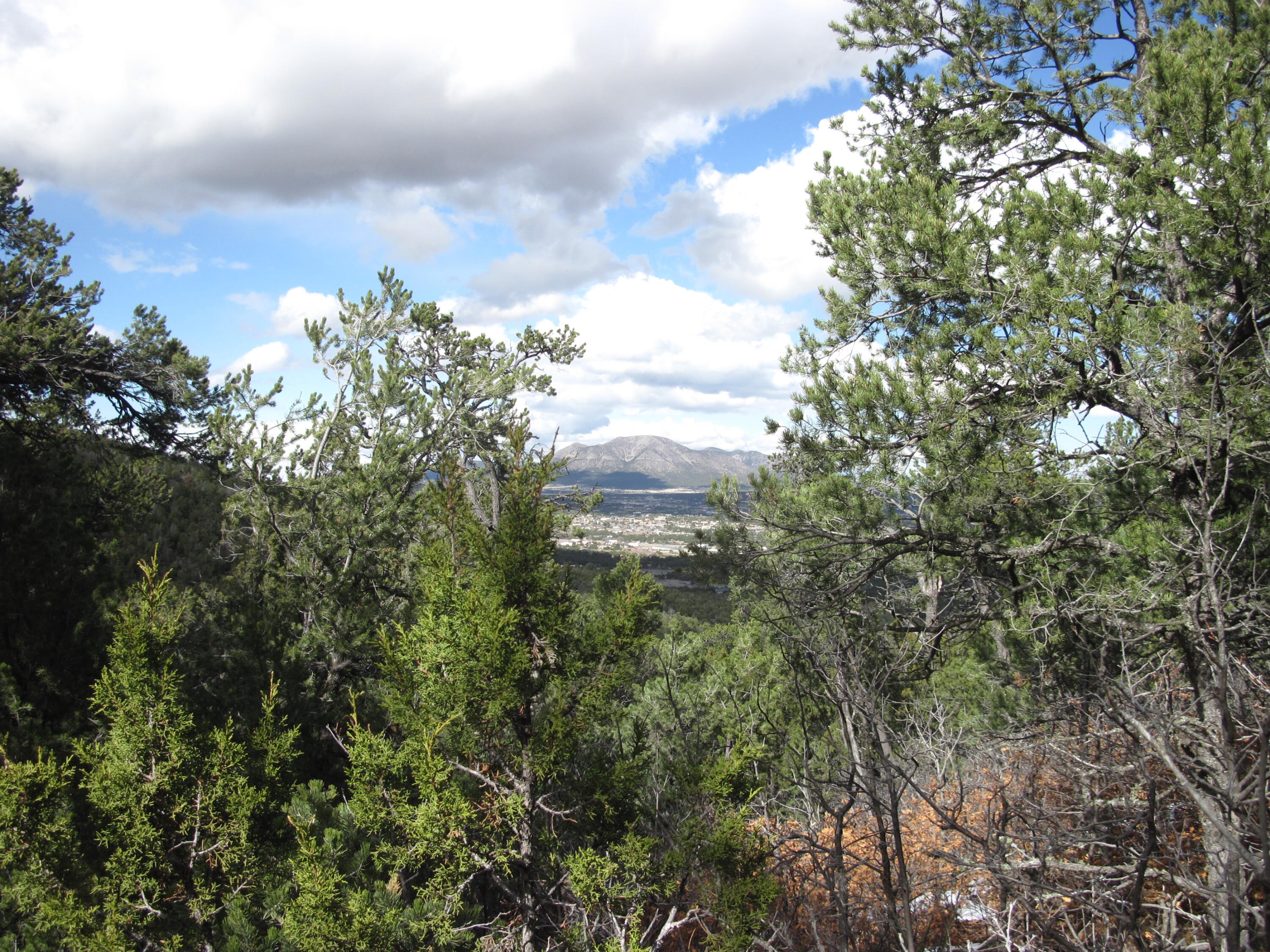 207 VIA SEDILLO Road