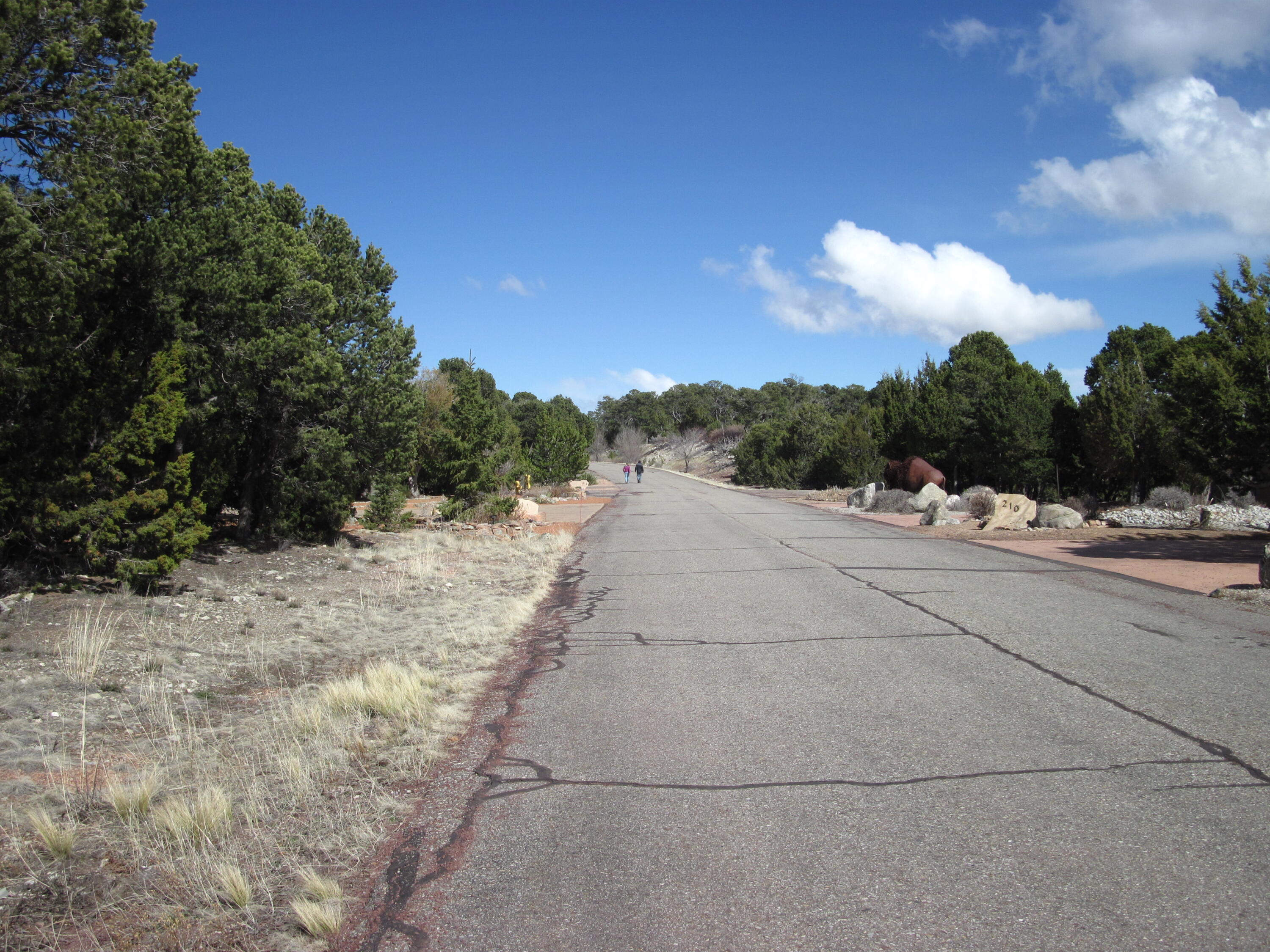 207 VIA SEDILLO Road