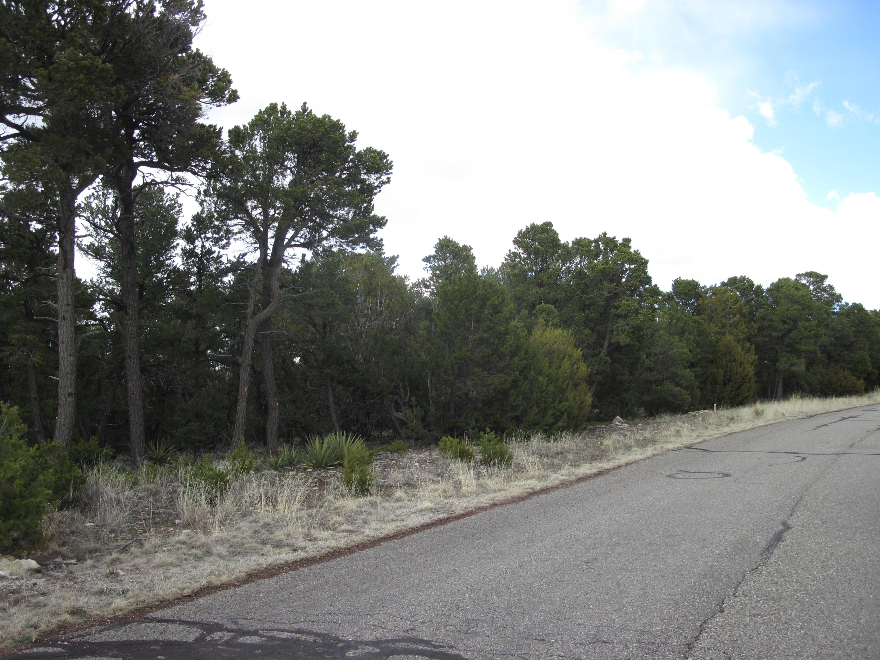 207 VIA SEDILLO Road