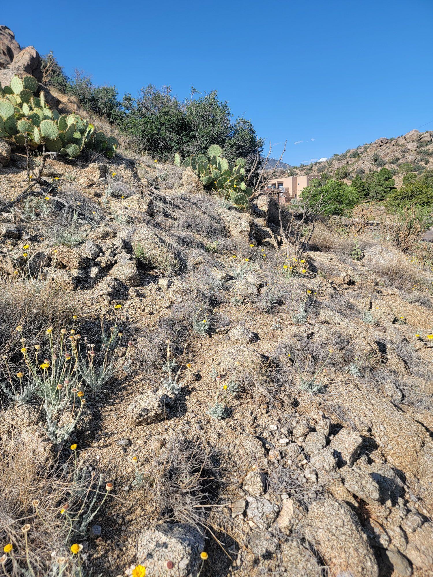 1215/1217 HIDEAWAY Lane SE