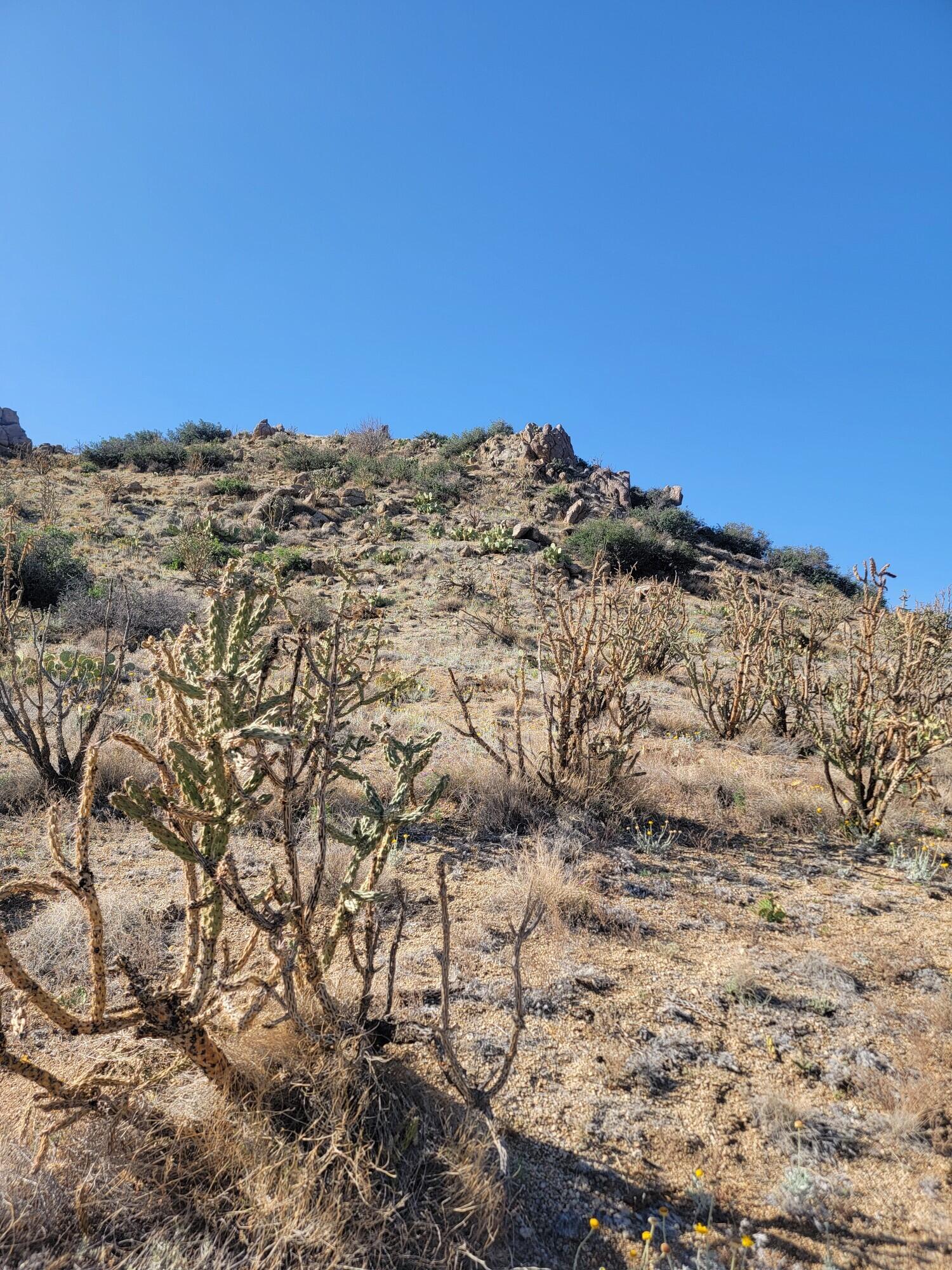 1215/1217 HIDEAWAY Lane SE