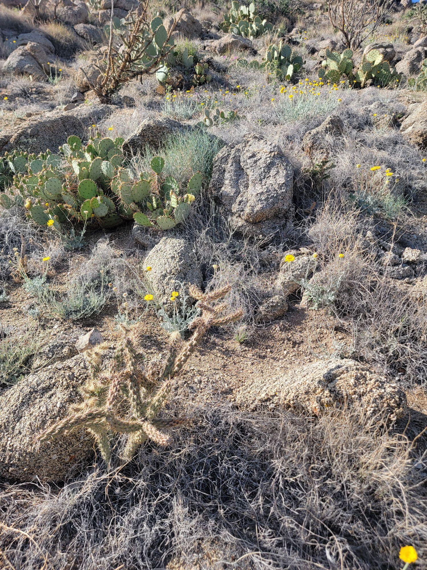 1215/1217 HIDEAWAY Lane SE