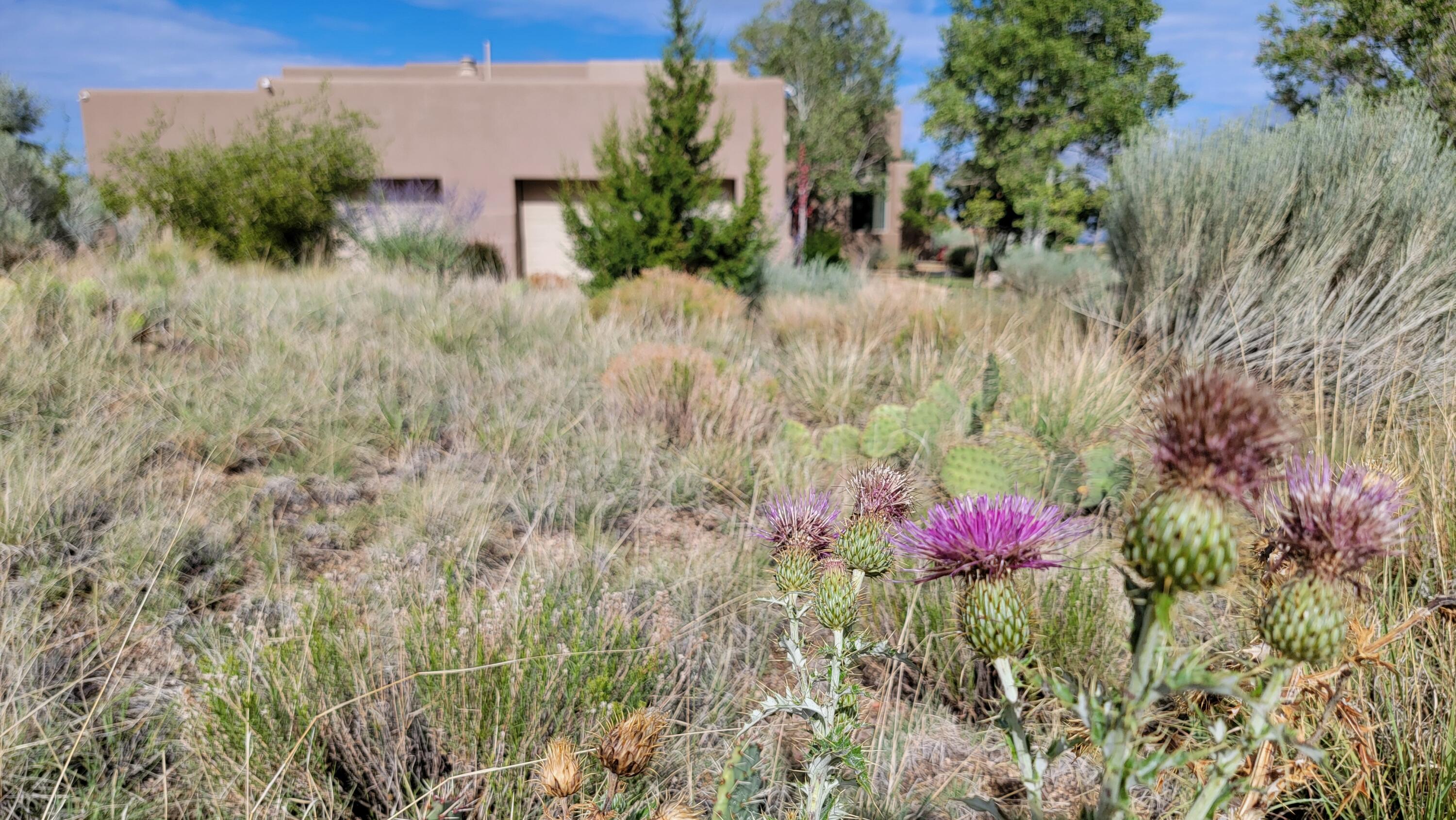 6015 Buffalo Grass Court NE