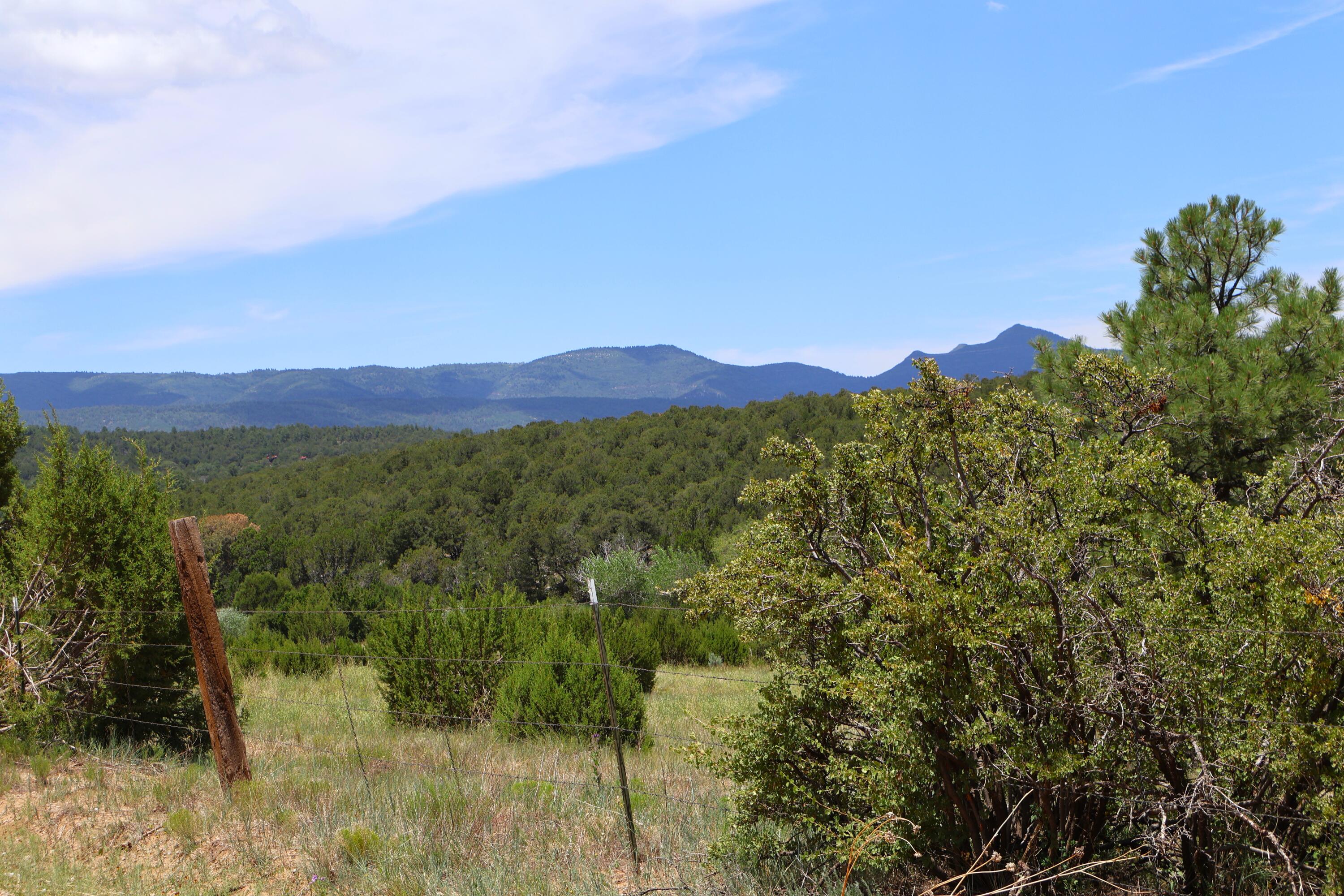 Lot 37 Sherwood Forest