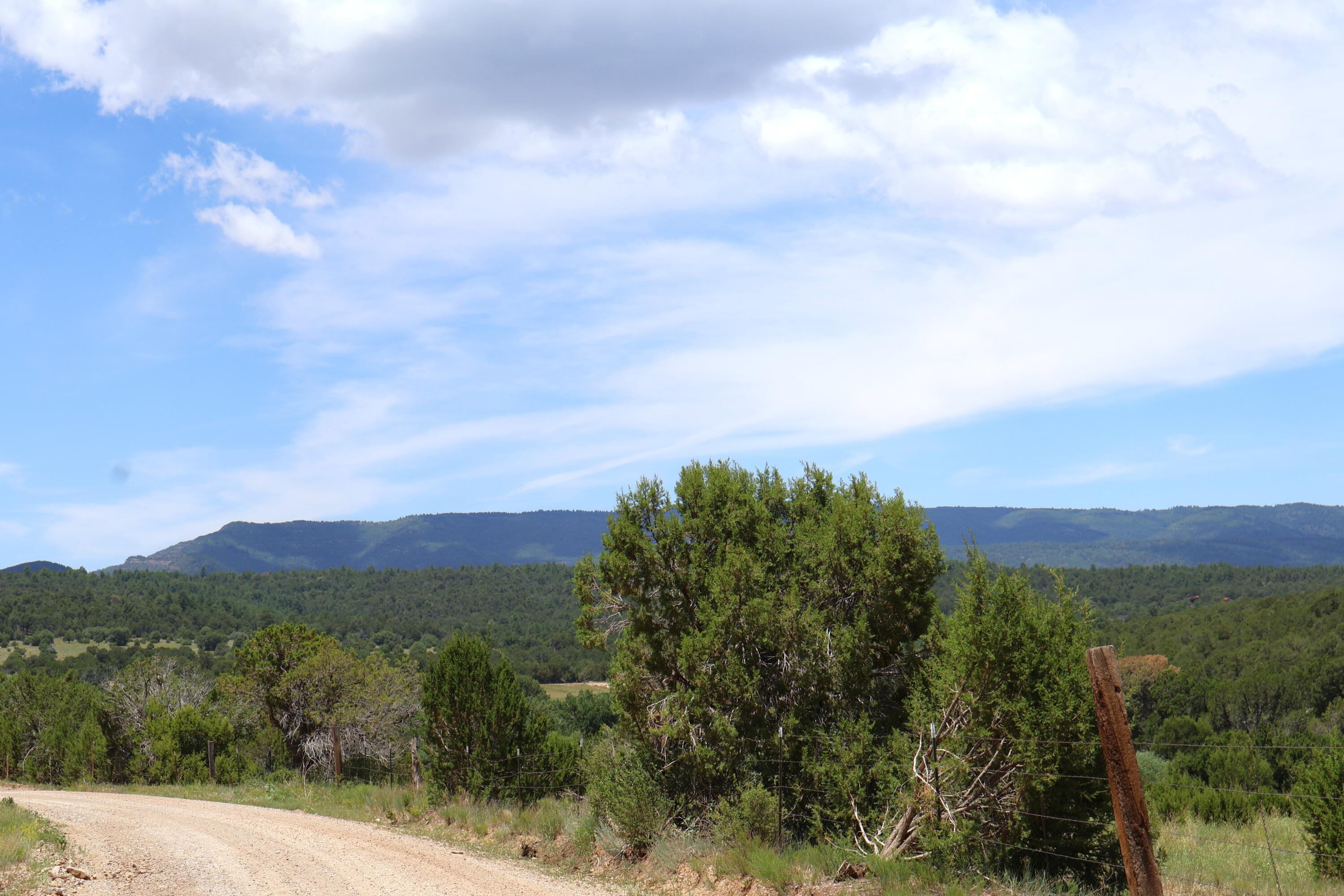 Lot 5 Sherwood Forest