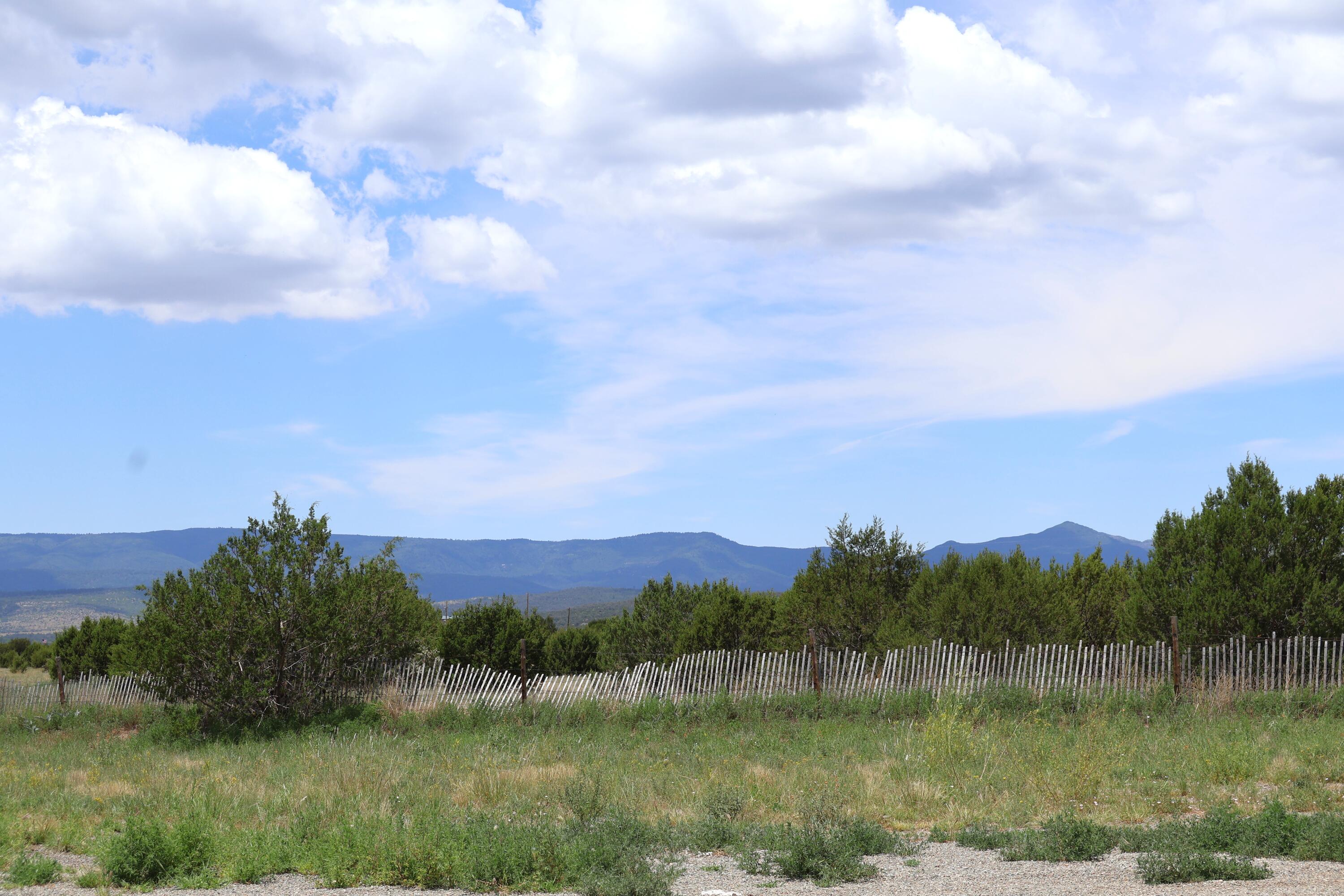 Lot 5 Sherwood Forest