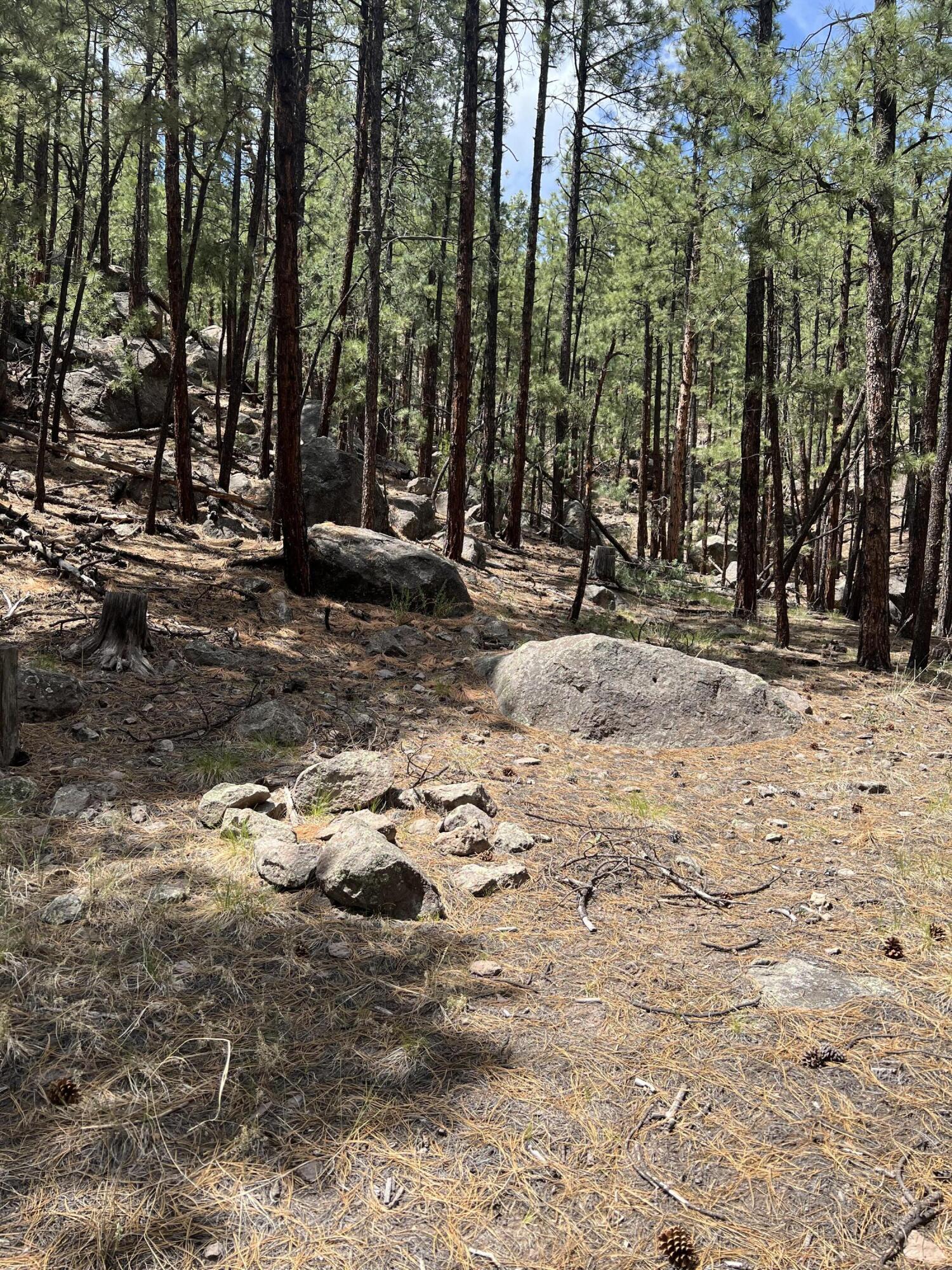 Lot 36 Spruce Loop