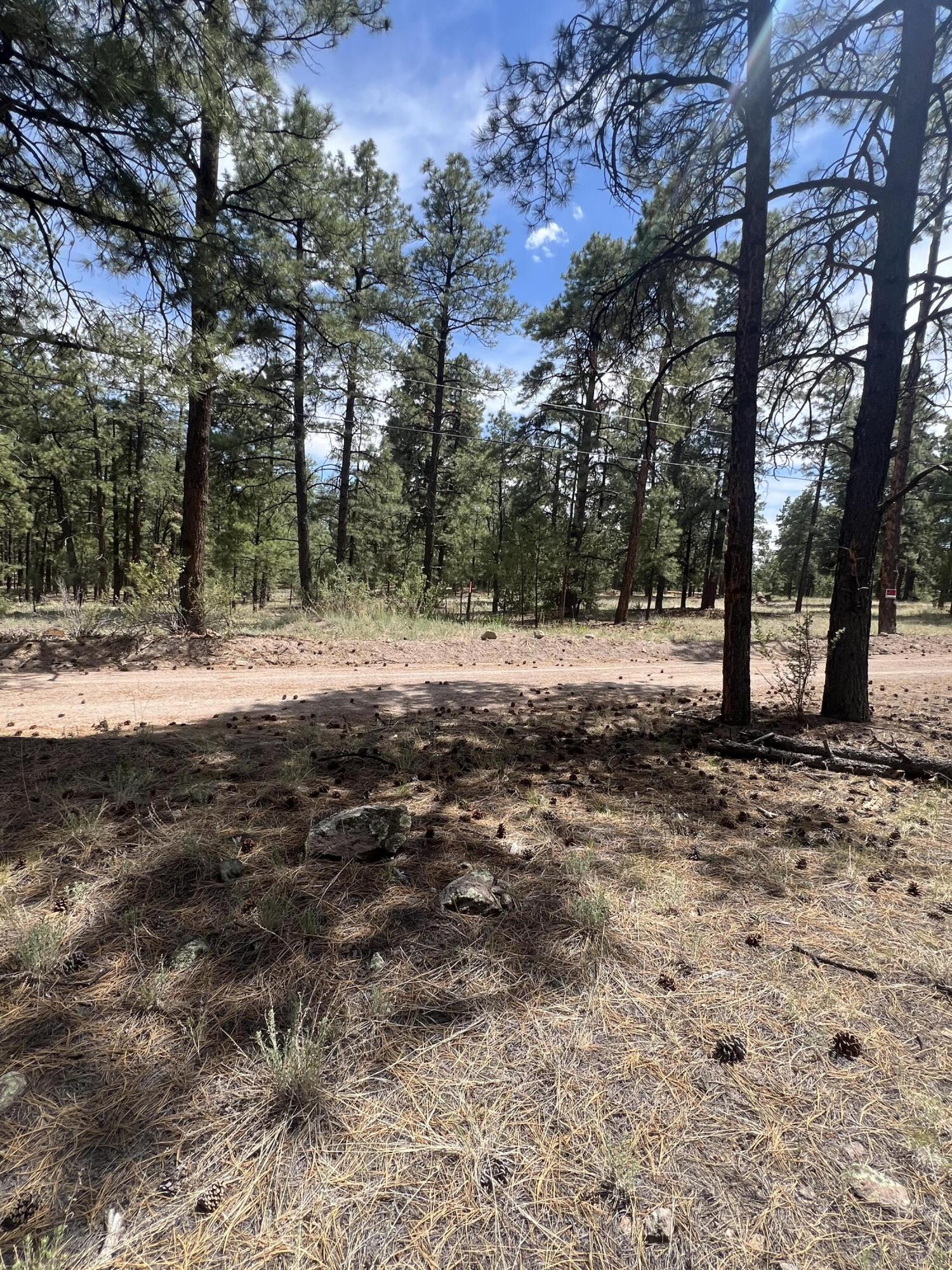 Lot 36 Spruce Loop