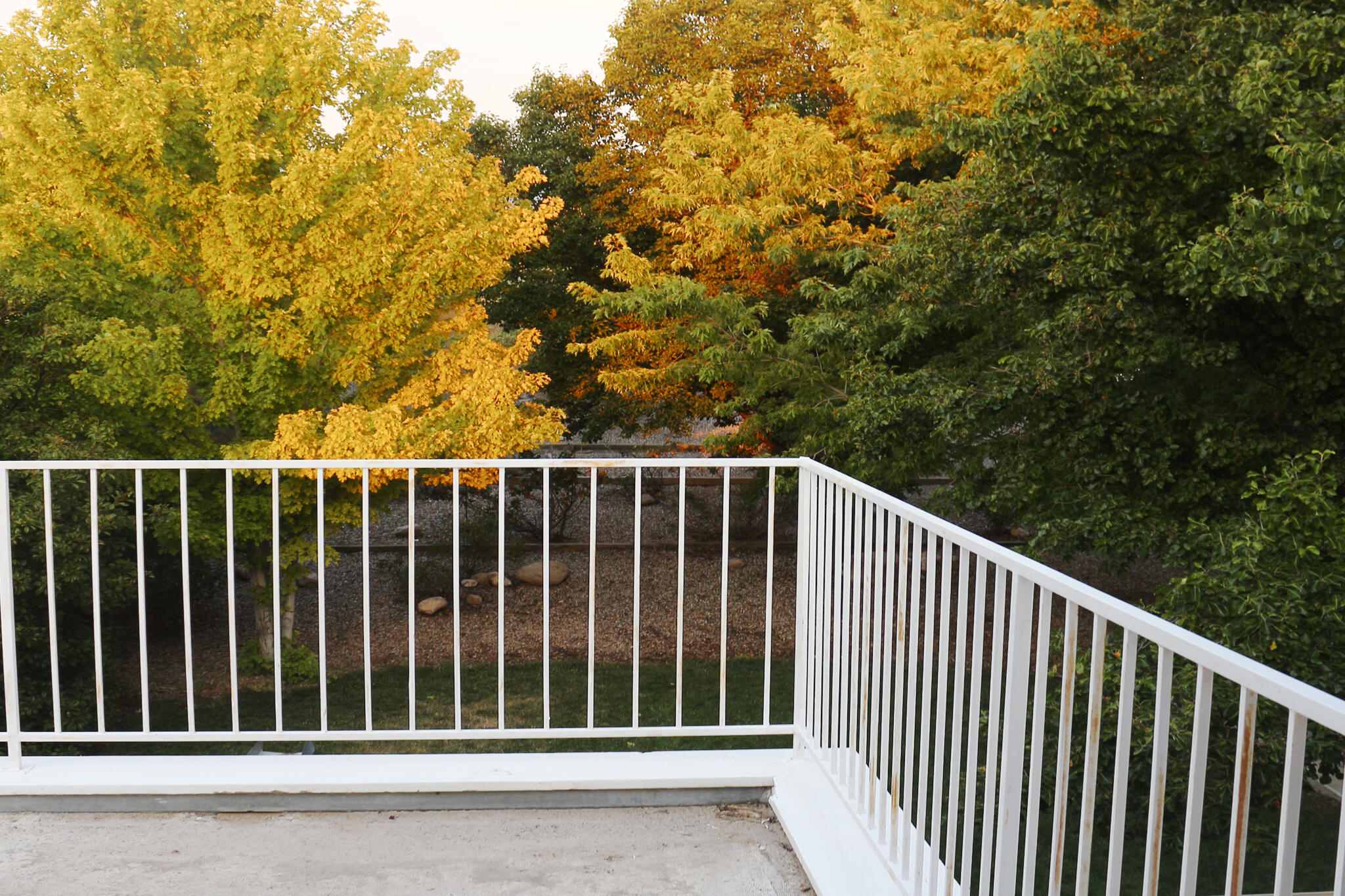 7400 WADI MUSA Drive NE