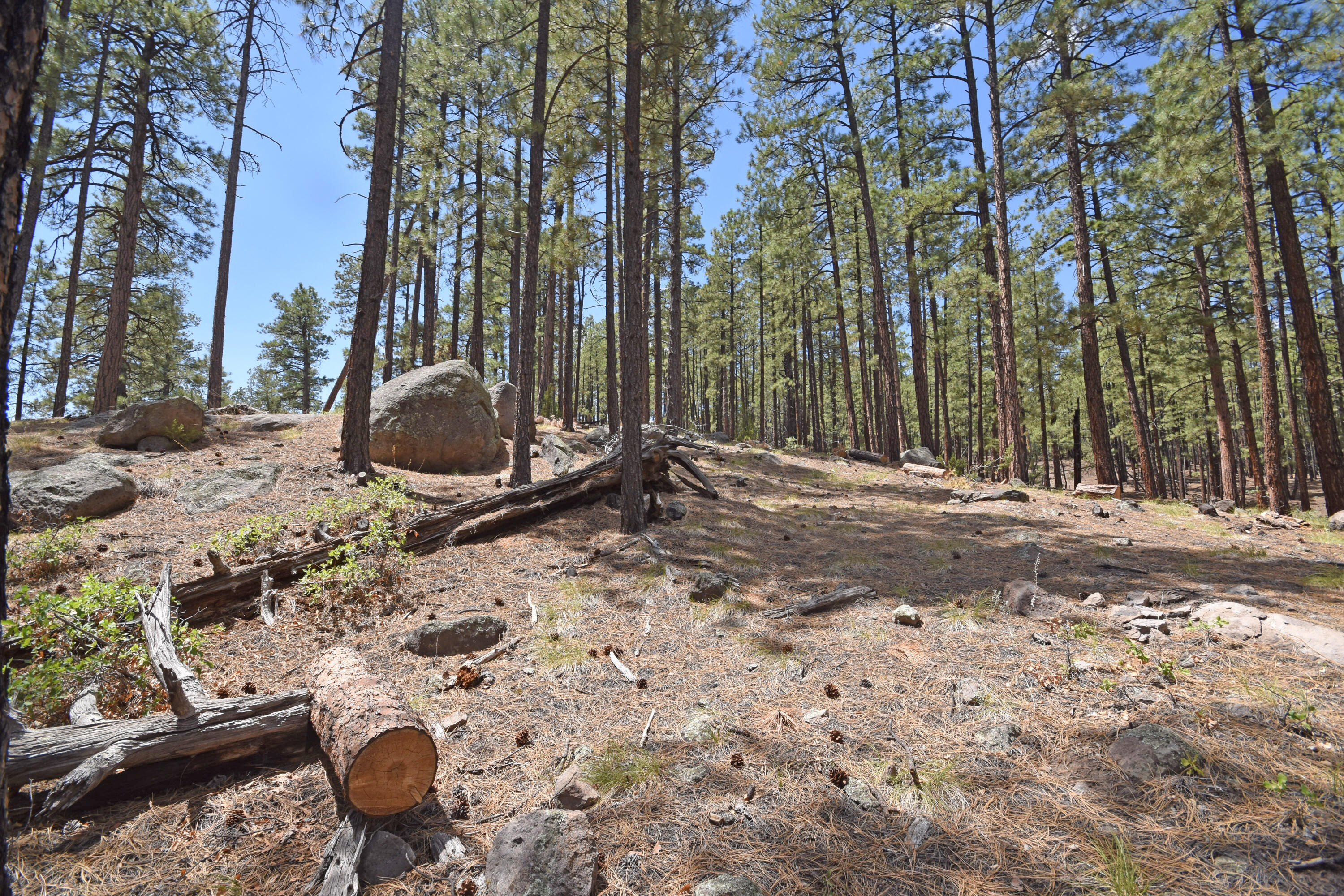 Lot 6A Cool Pines