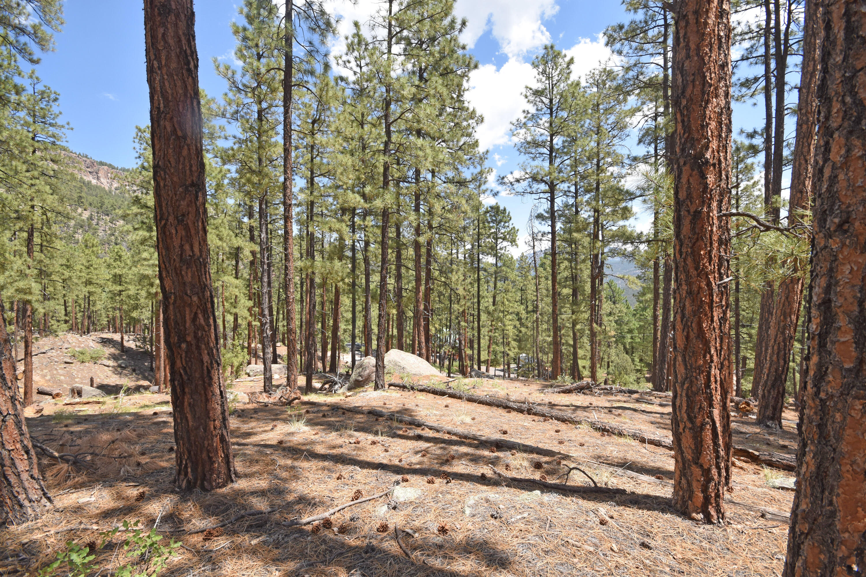 Lot 6A Cool Pines