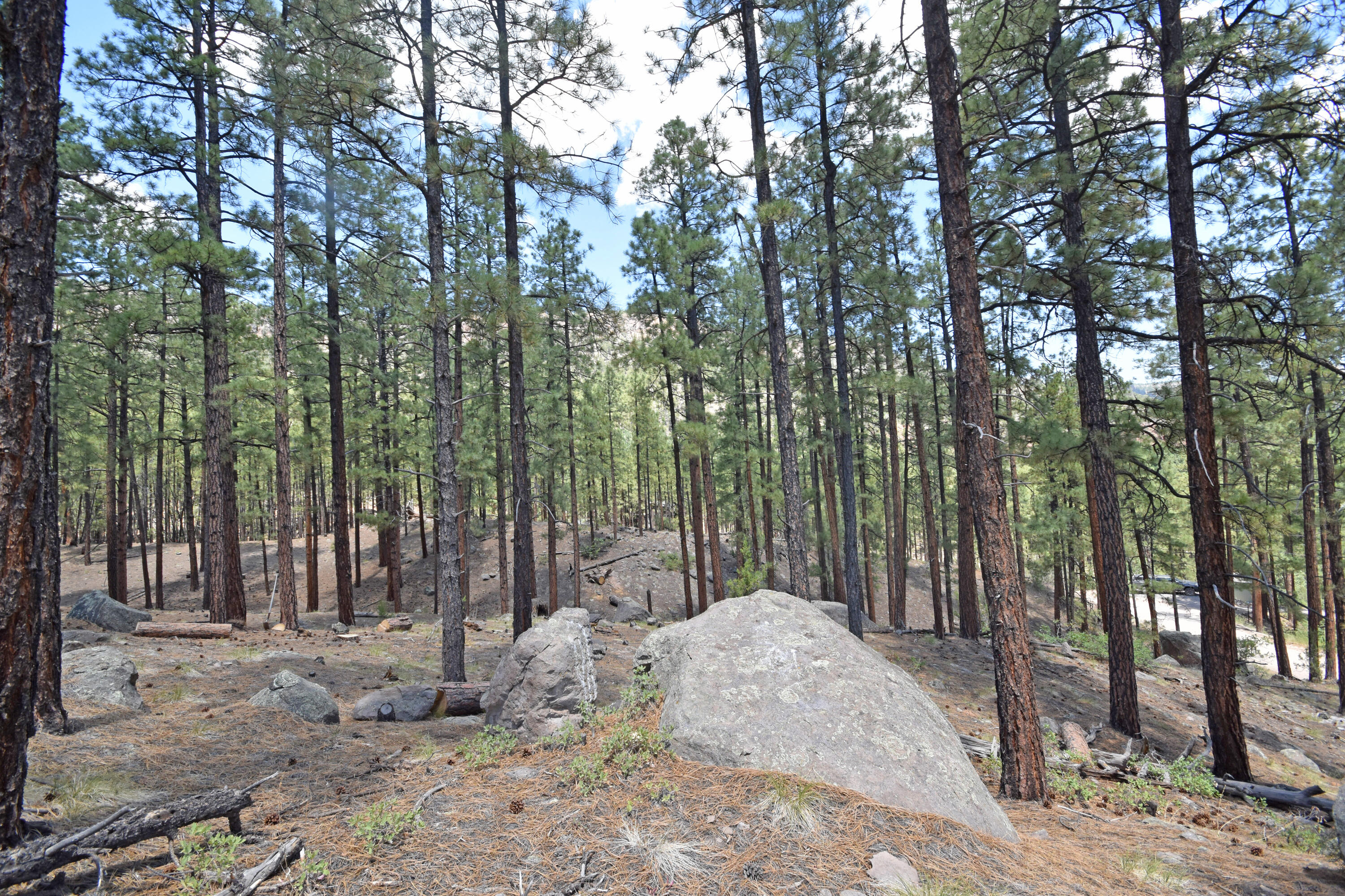 Lot 6A Cool Pines