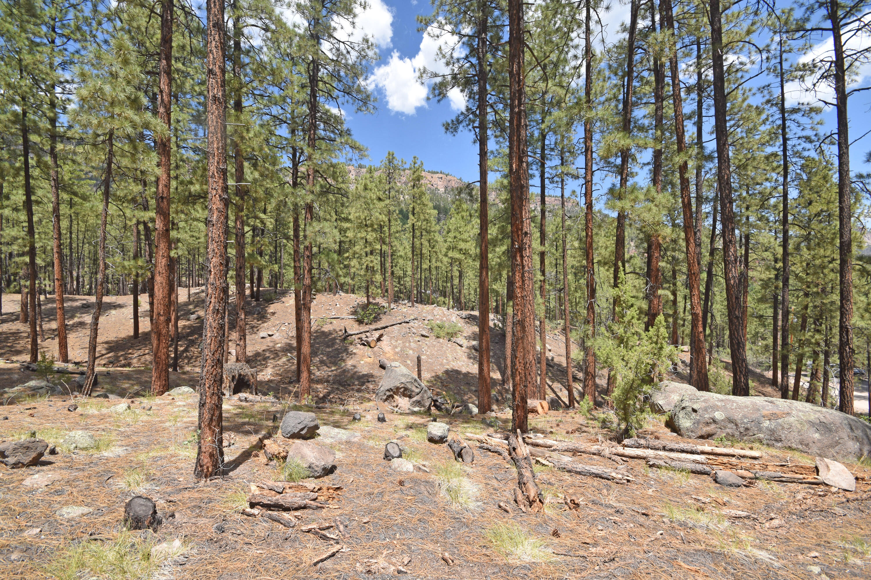 Lot 6A Cool Pines