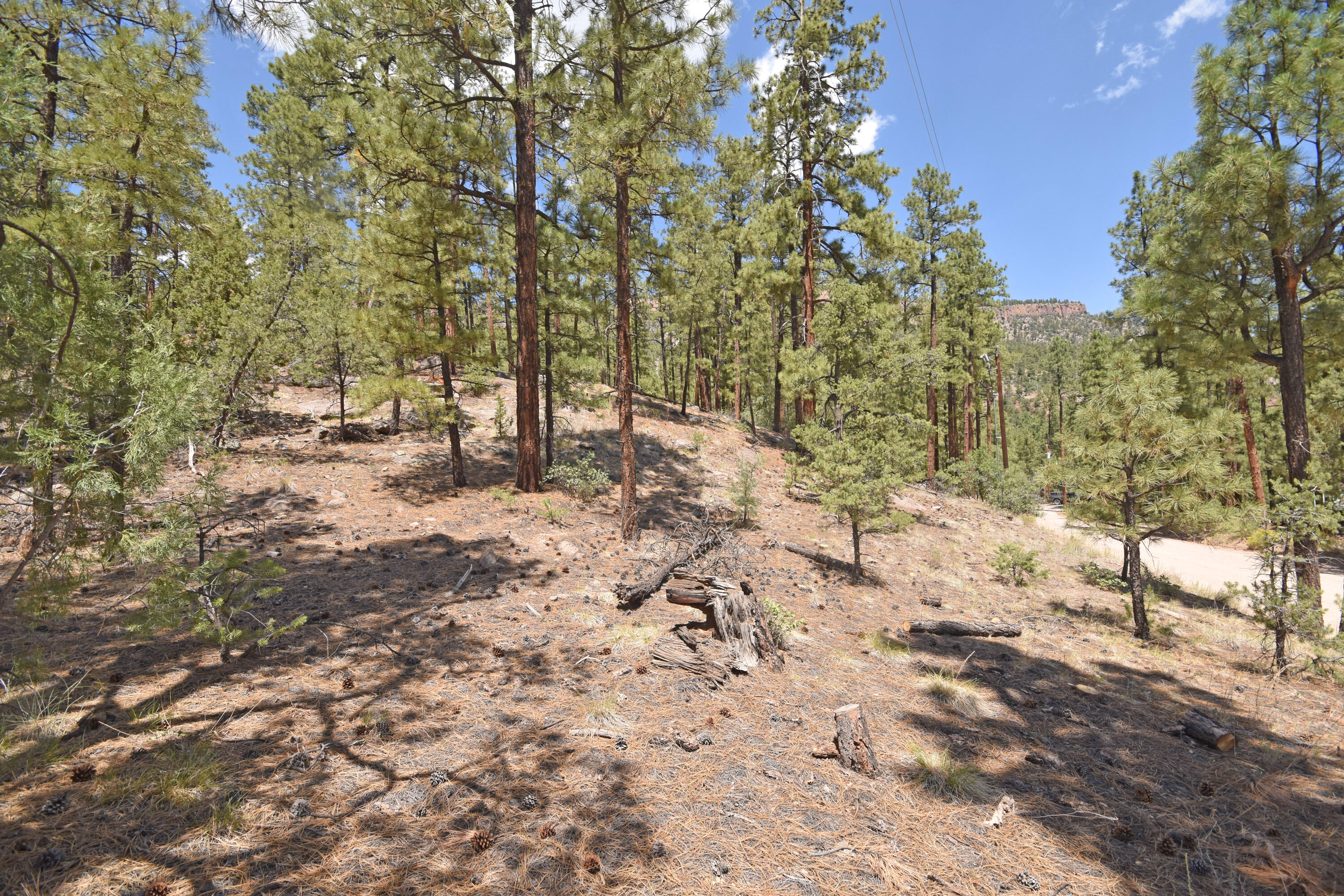 Lot 6A Cool Pines