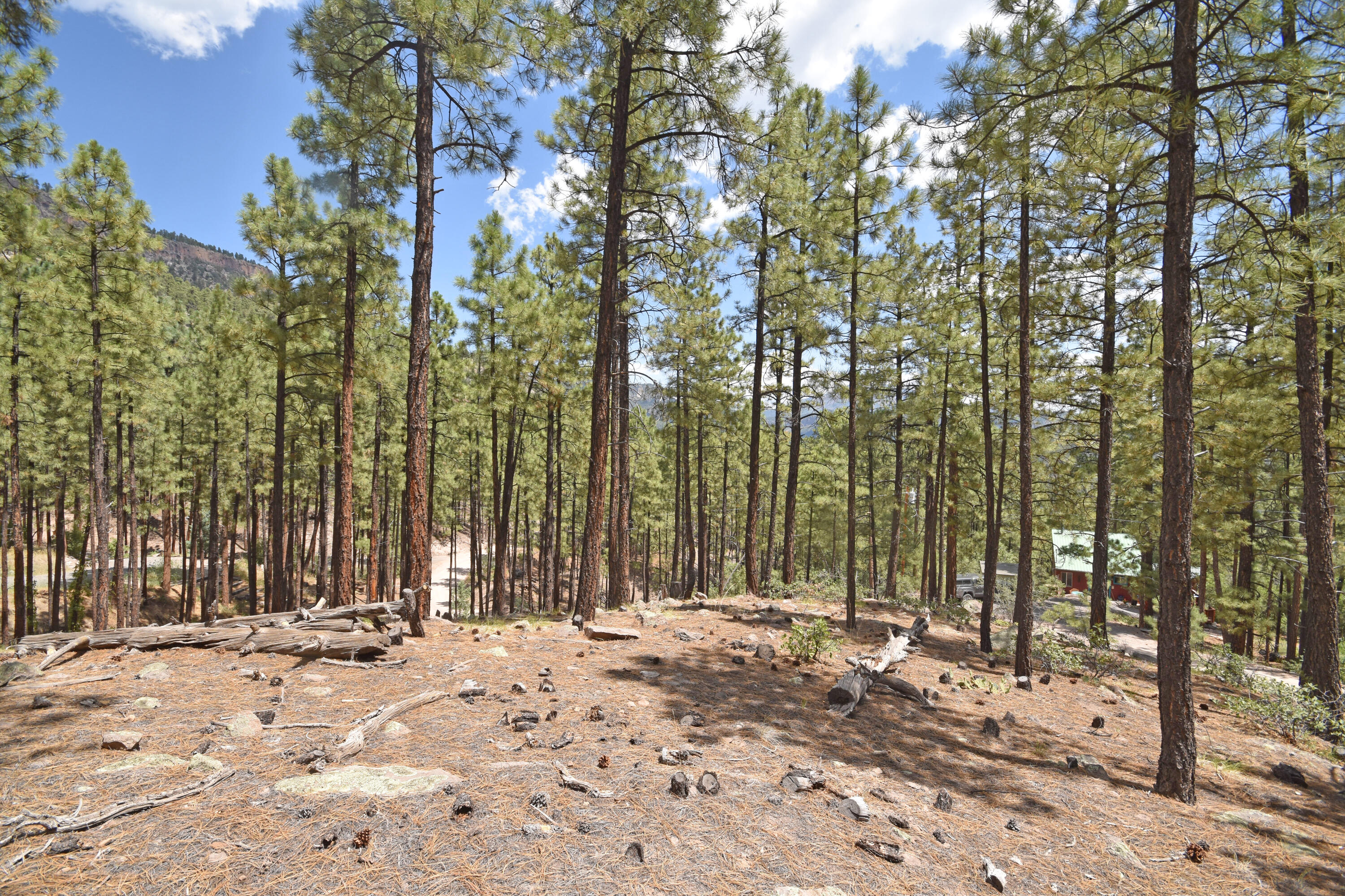 Lot 6A Cool Pines
