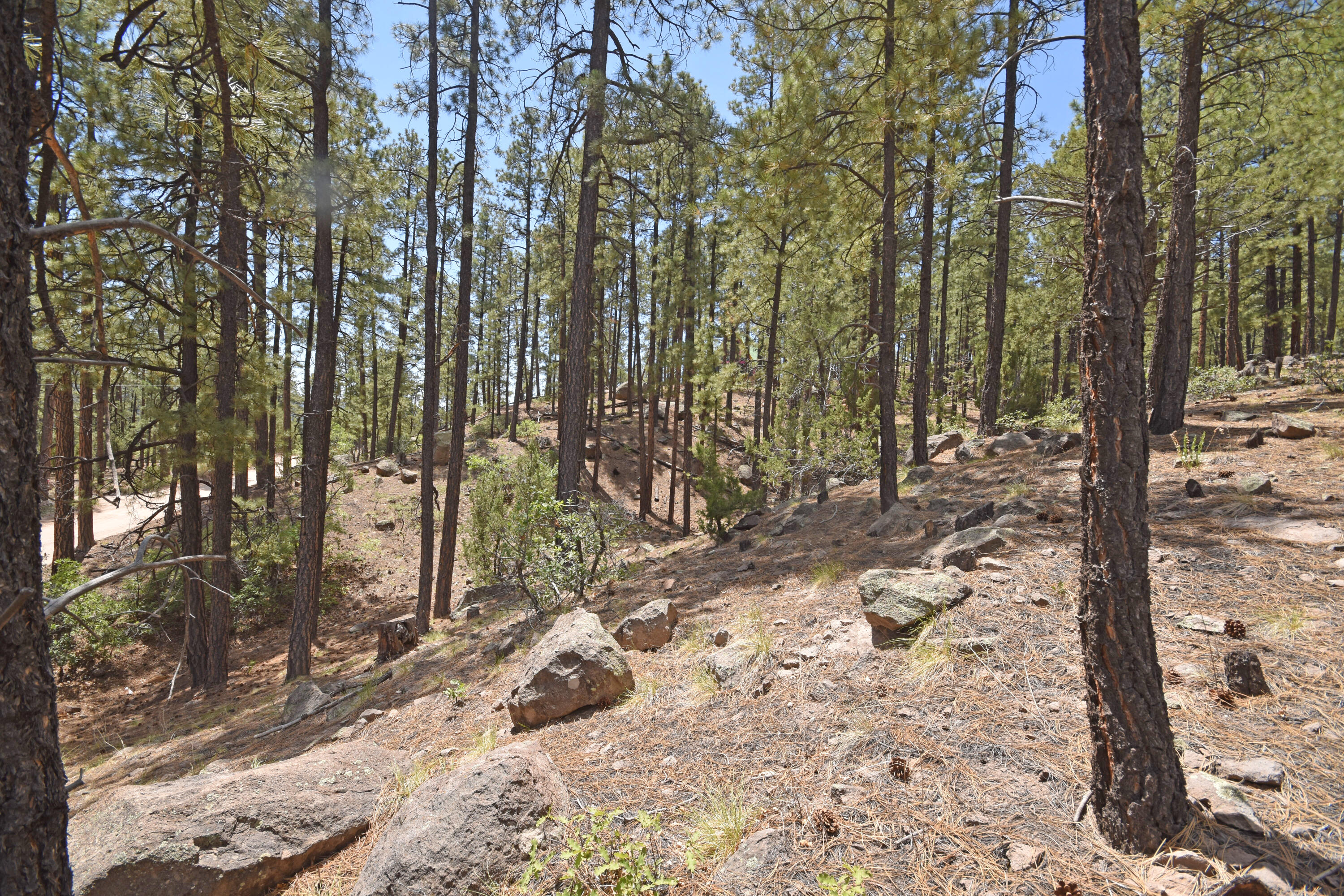 Lot 6A Cool Pines