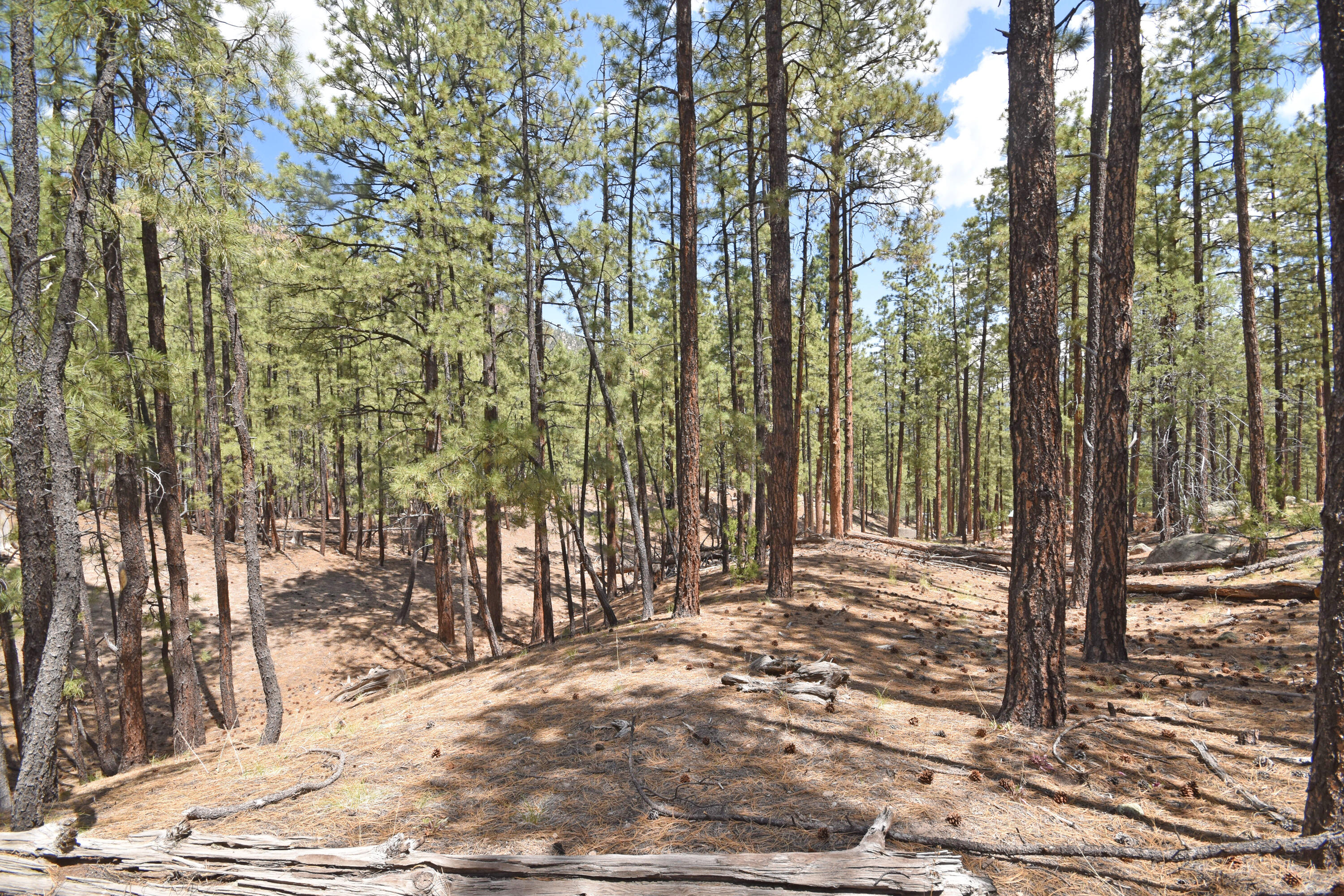 Lot 6A Cool Pines