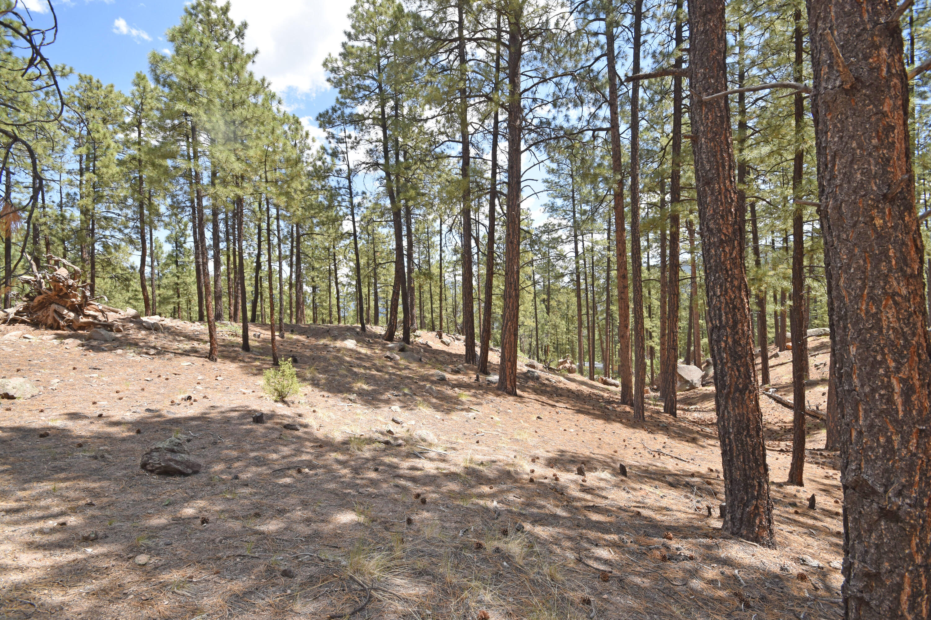 Lot 6A Cool Pines