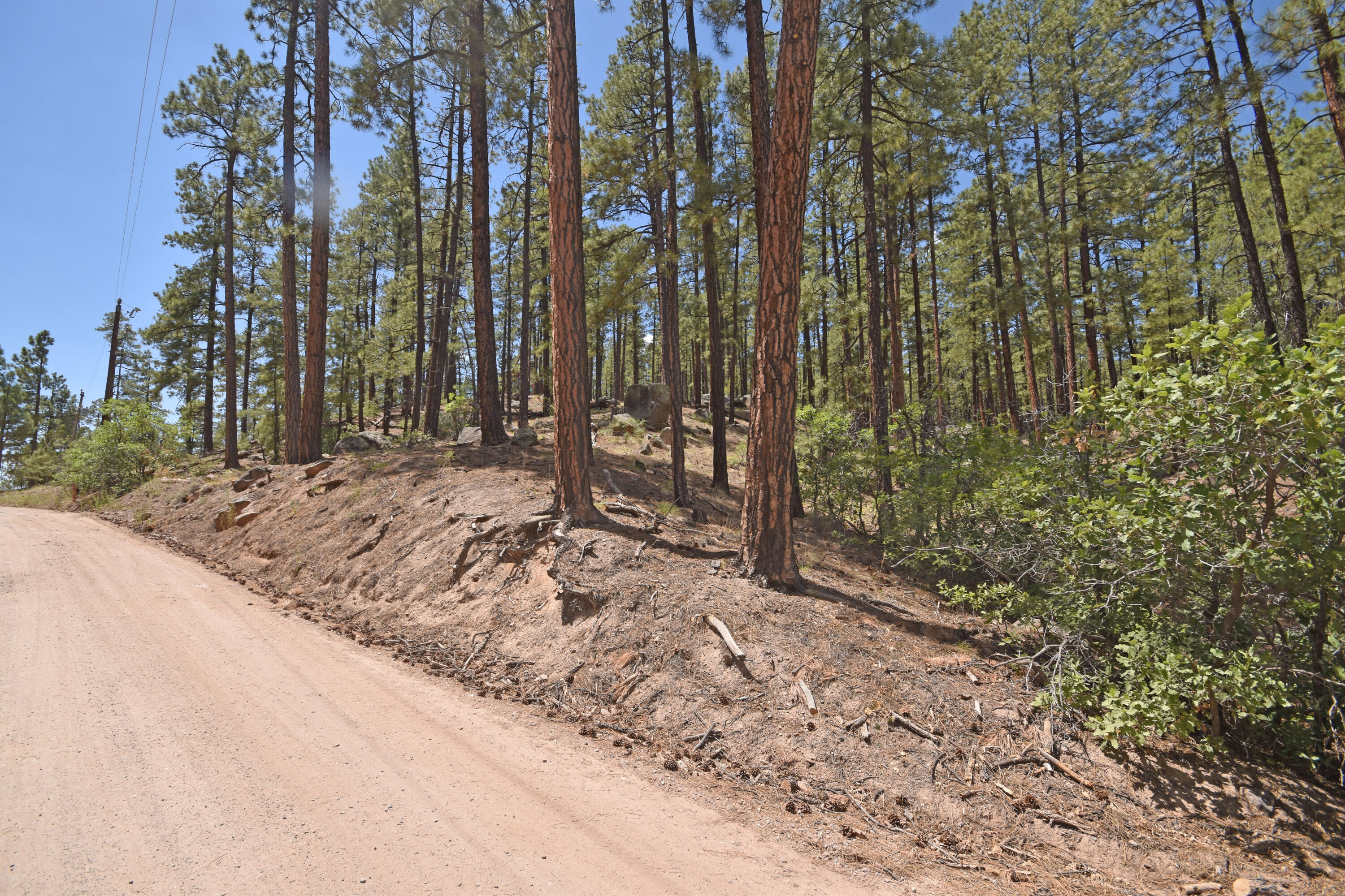 Lot 6A Cool Pines