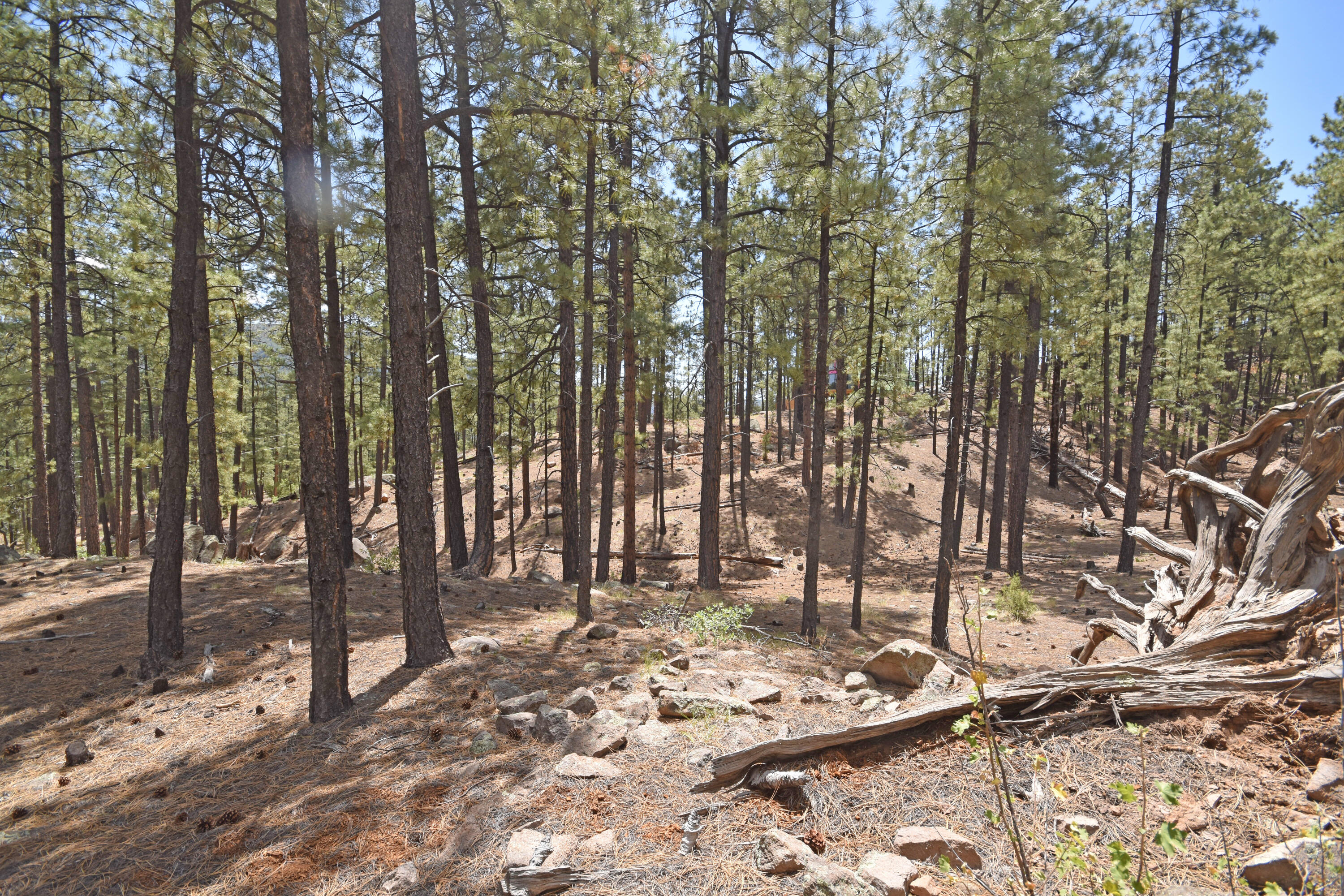Lot 6A Cool Pines