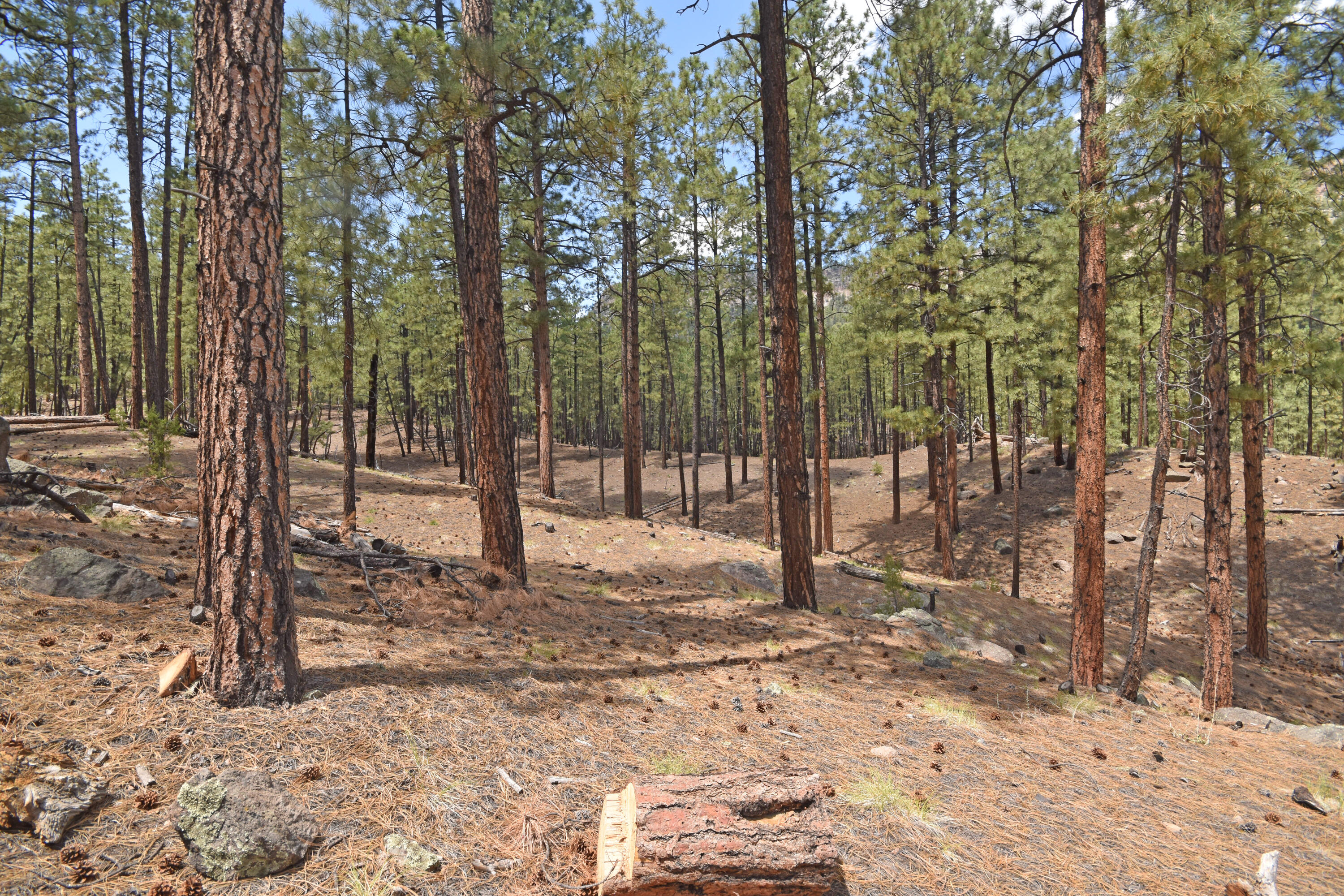 Lot 6A Cool Pines