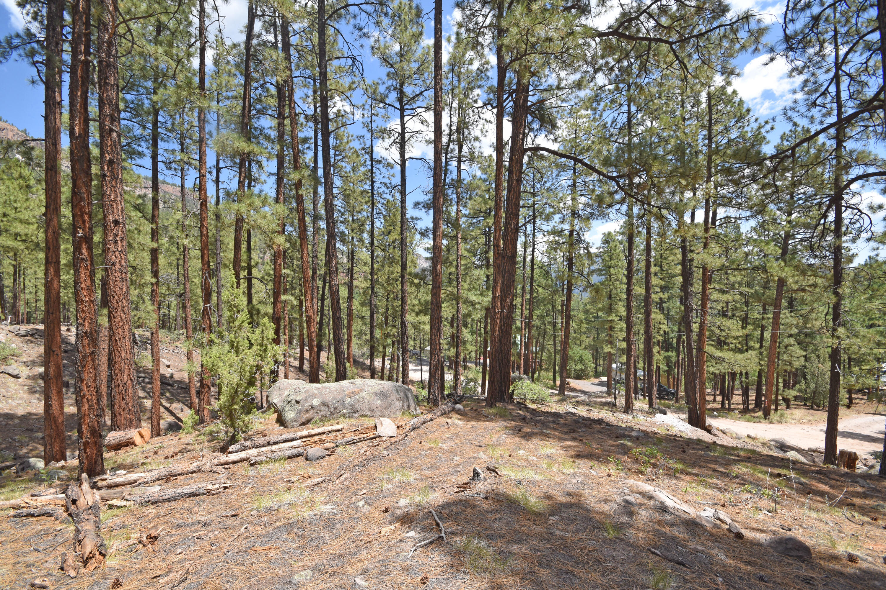 Lot 6A Cool Pines
