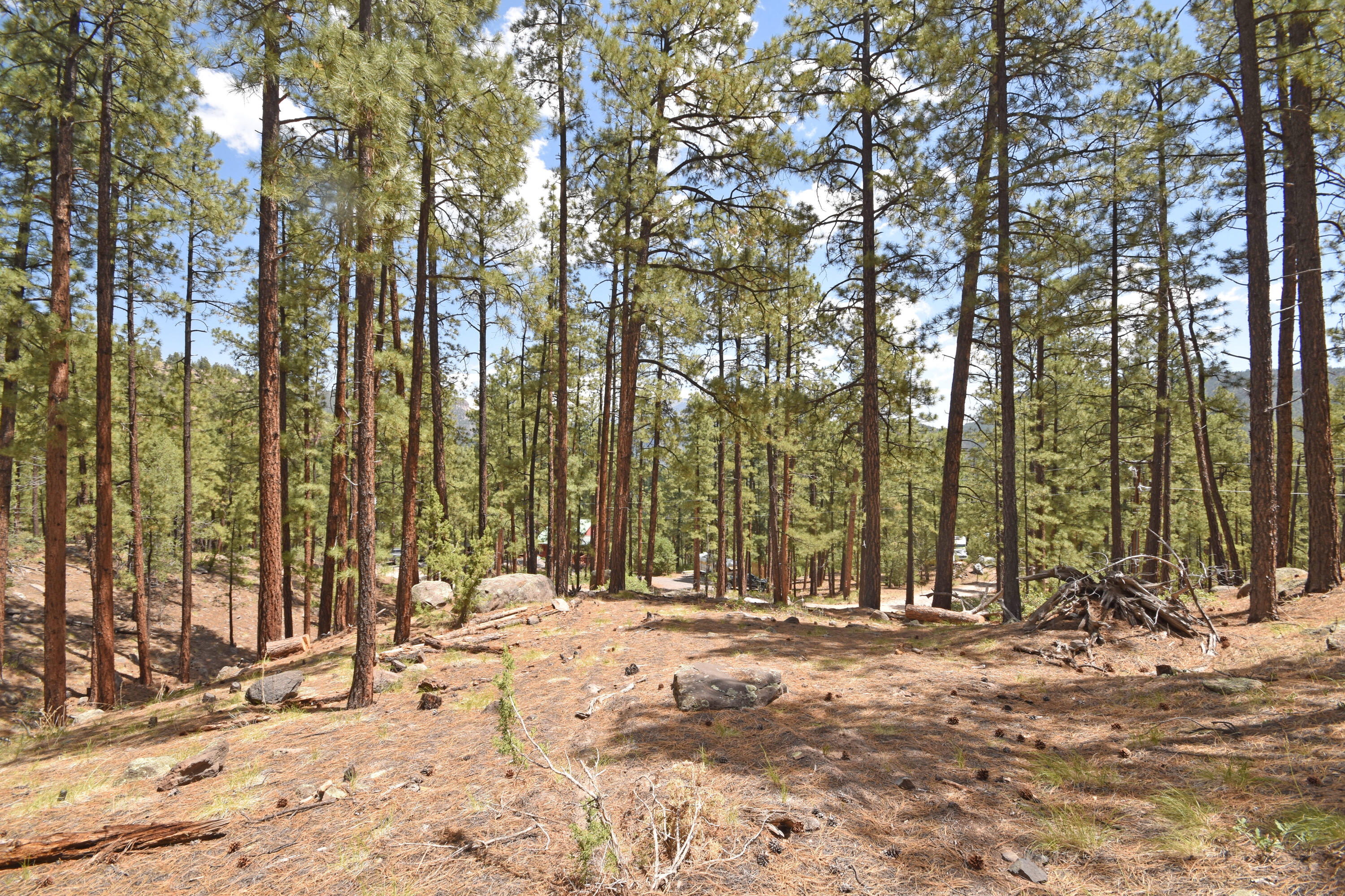 Lot 6A Cool Pines