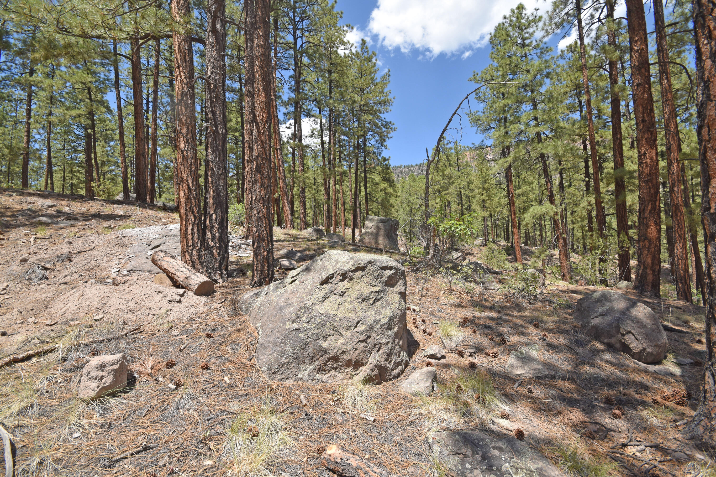 Lot 6A Cool Pines