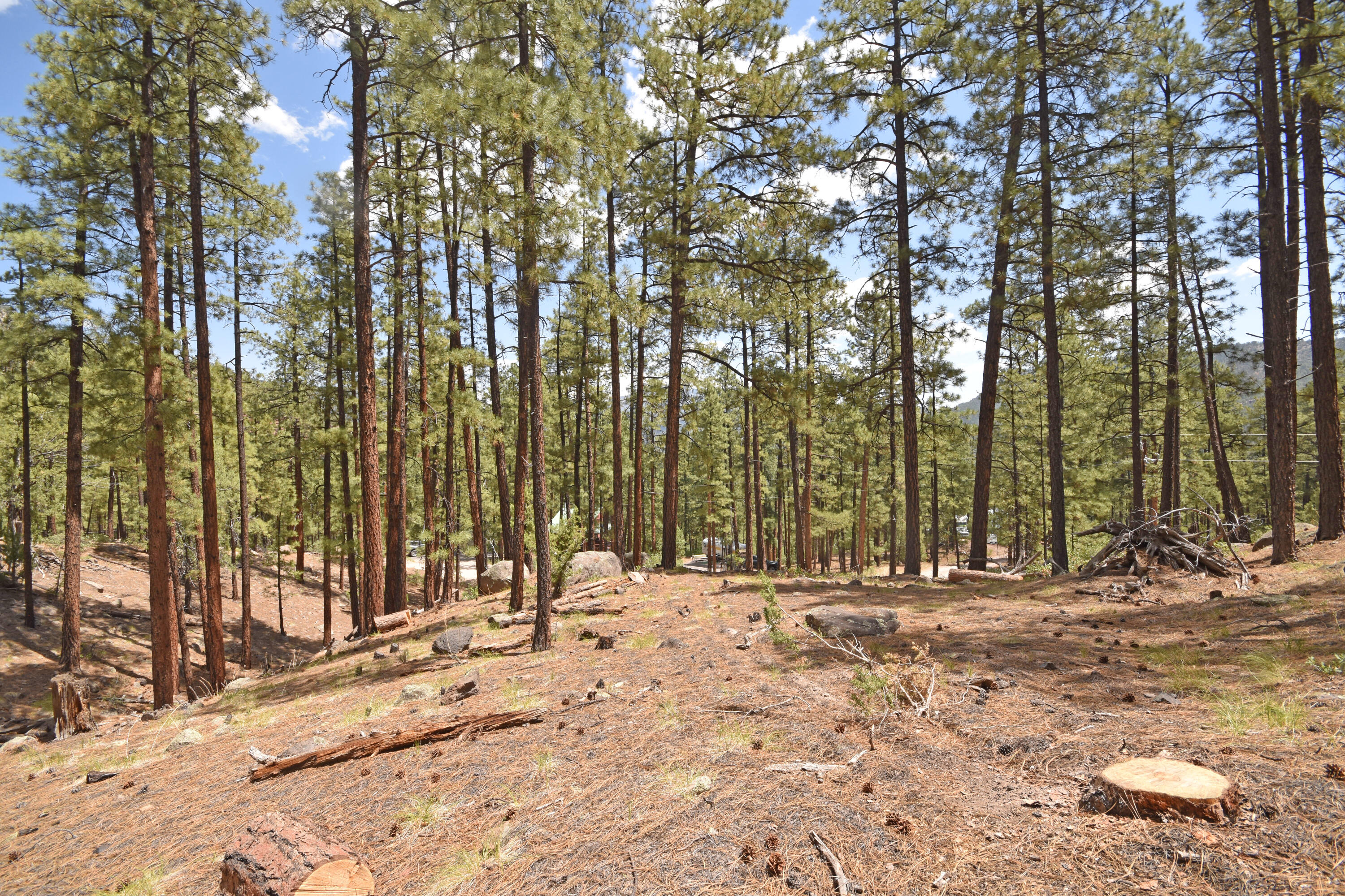 Lot 6A Cool Pines