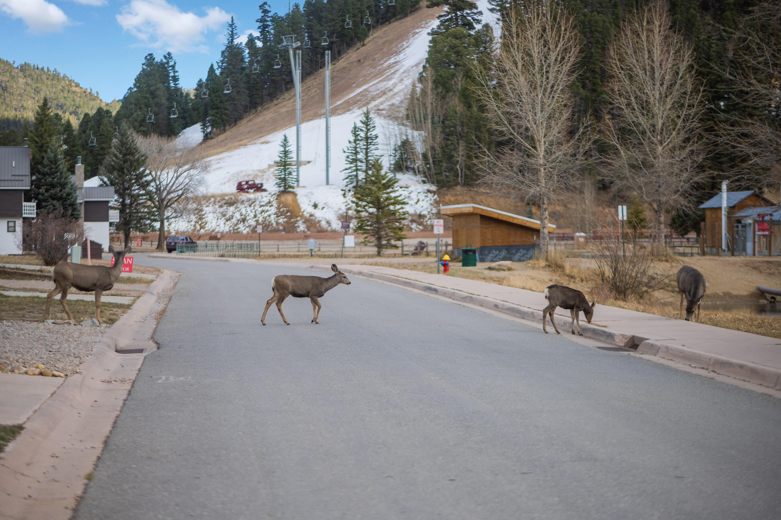 610 Claim Jumper Street