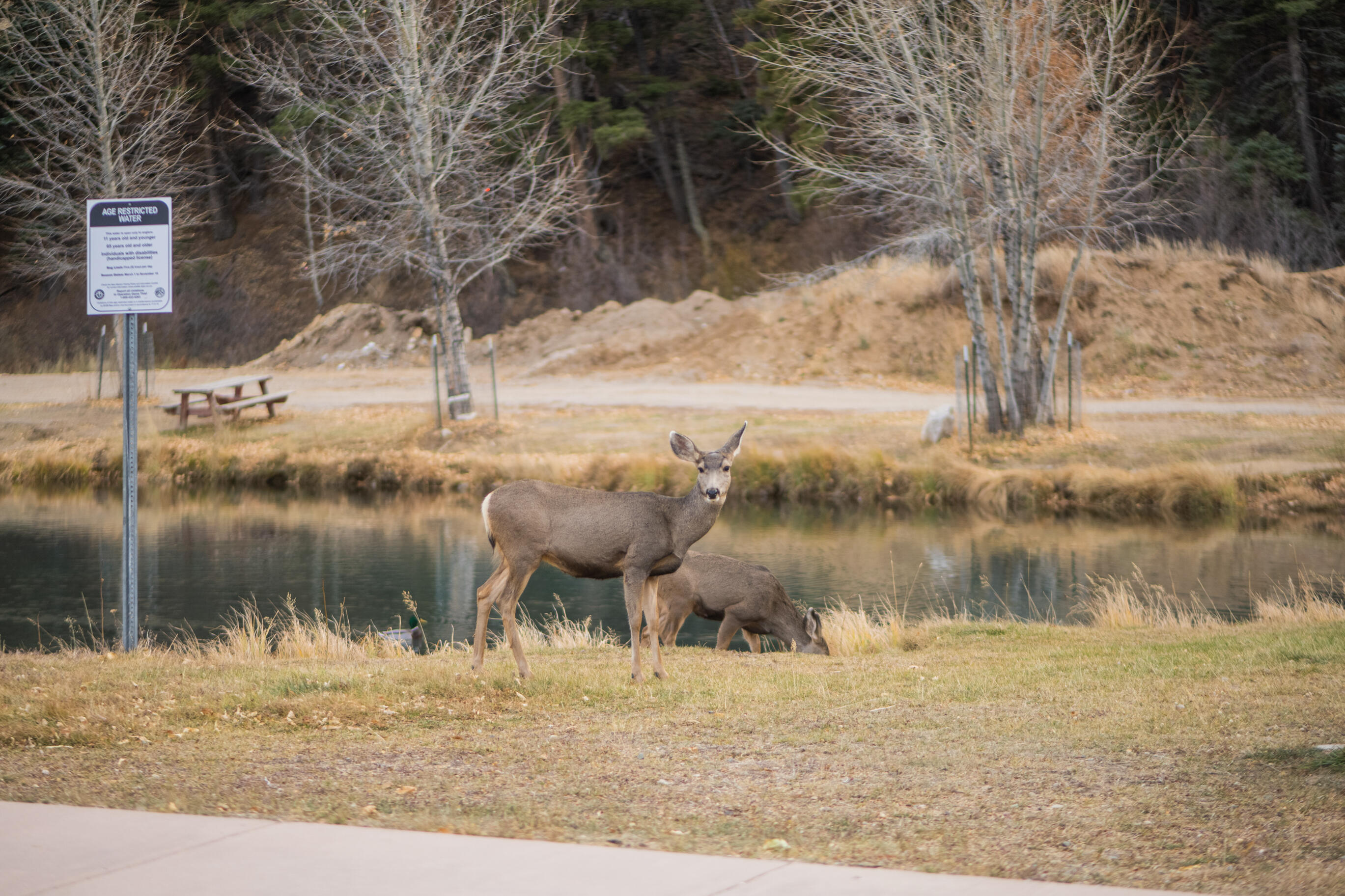 610 Claim Jumper Street